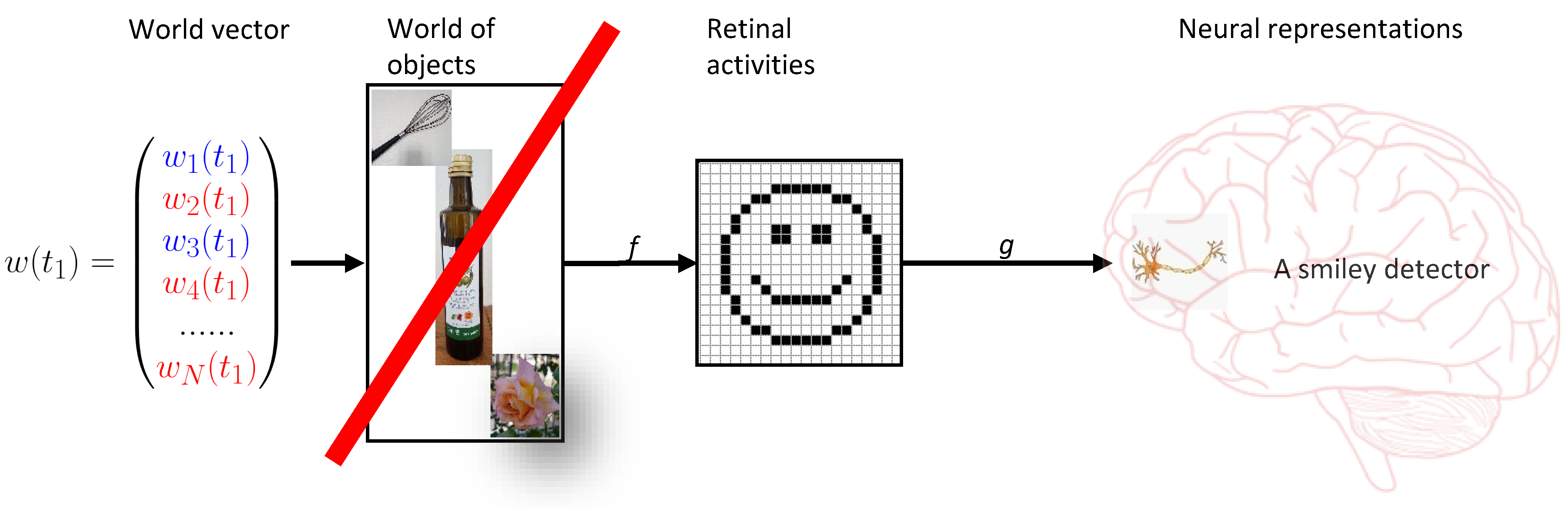 Vision 06 00035 g012