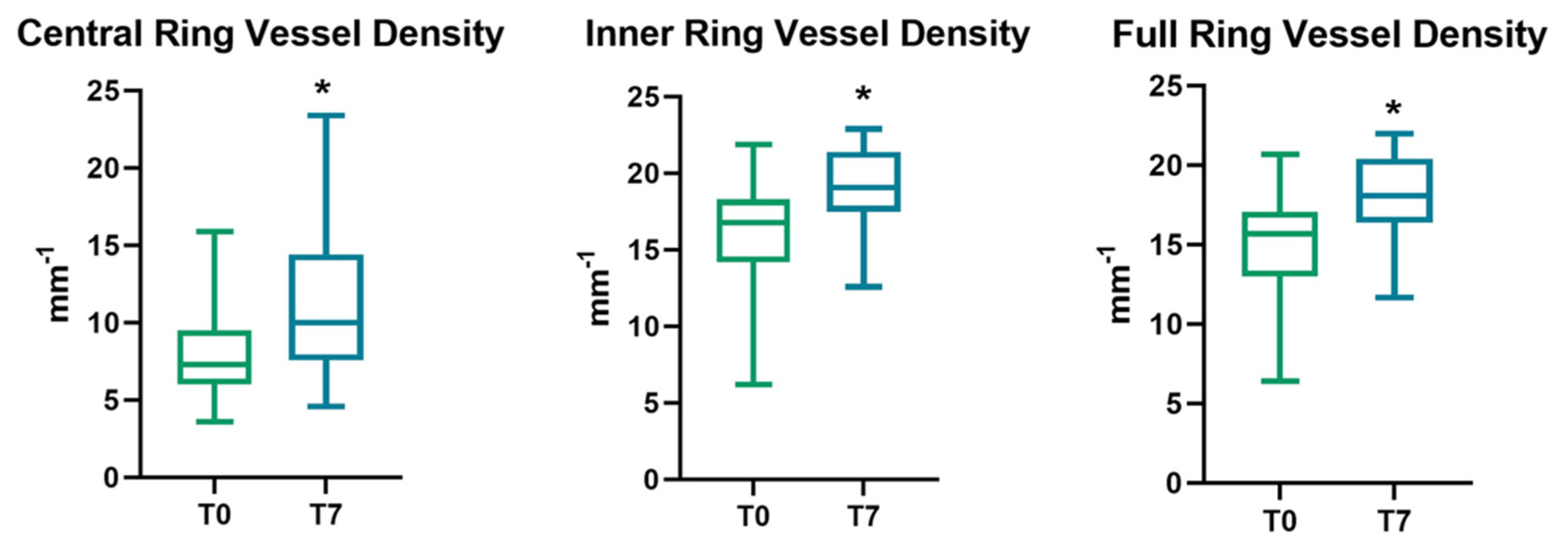 Vision 06 00038 g001