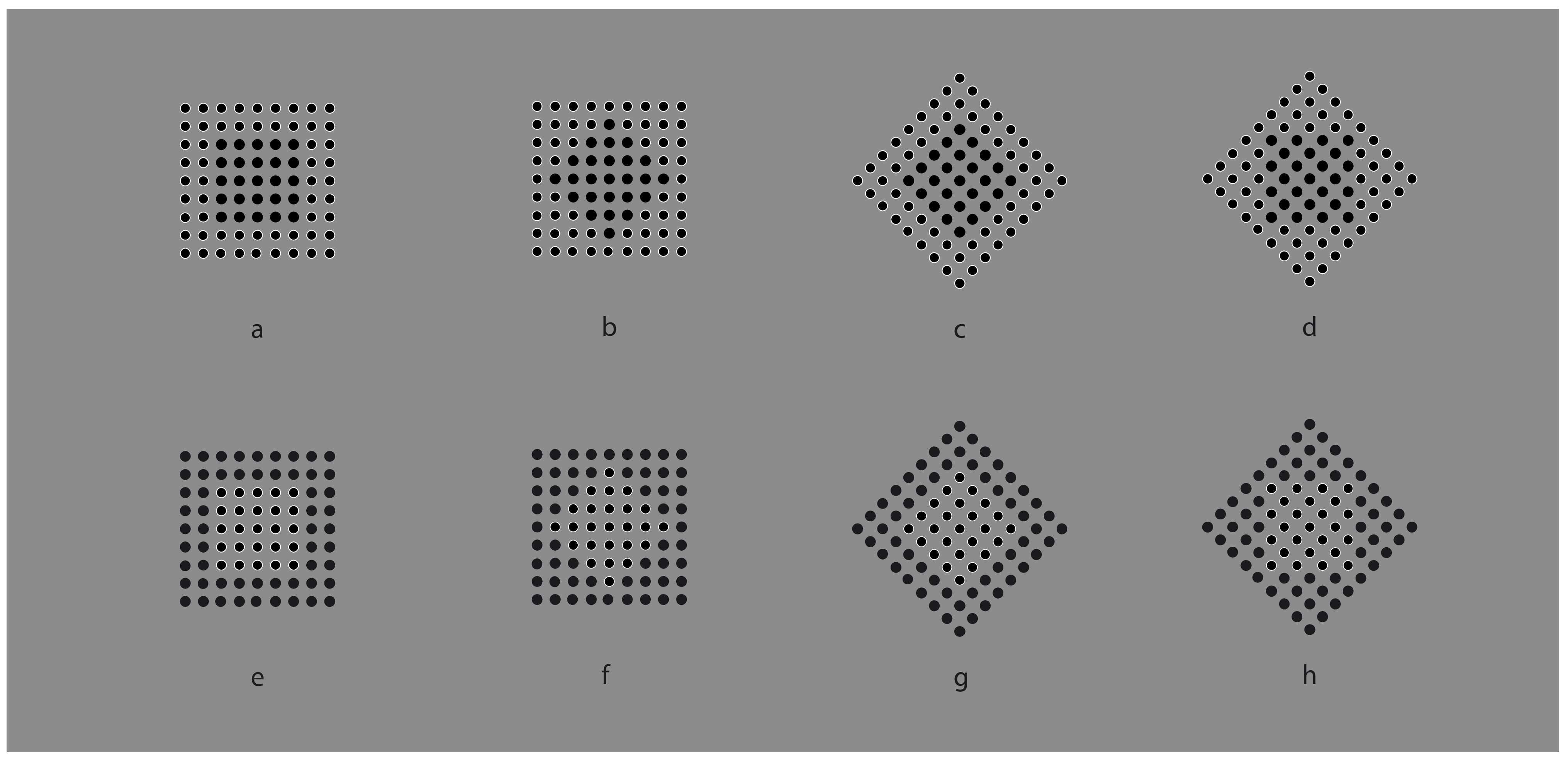 Vision 06 00039 g009 550