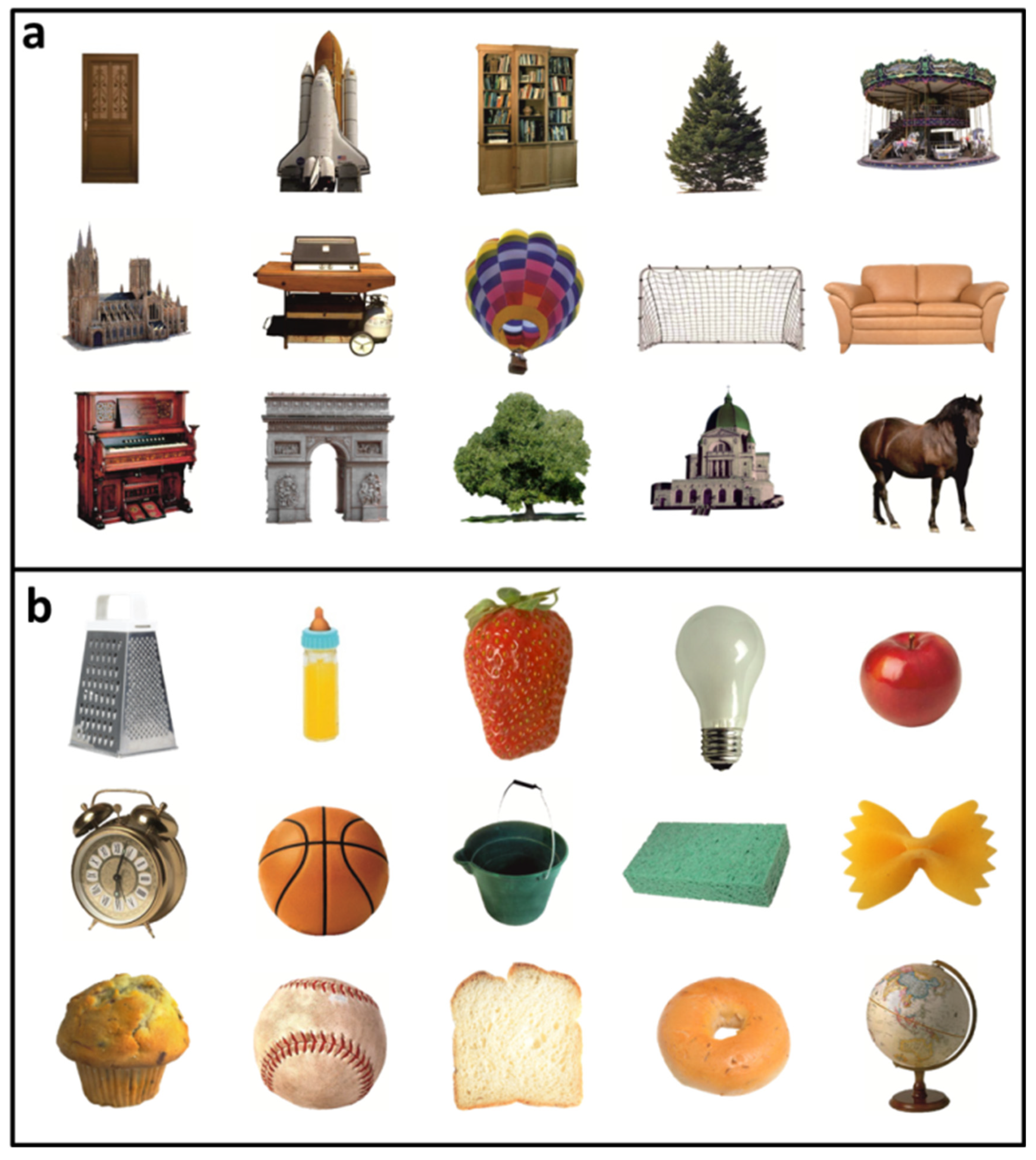 Vision 06 00041 g001 Vision 06 00041 g001