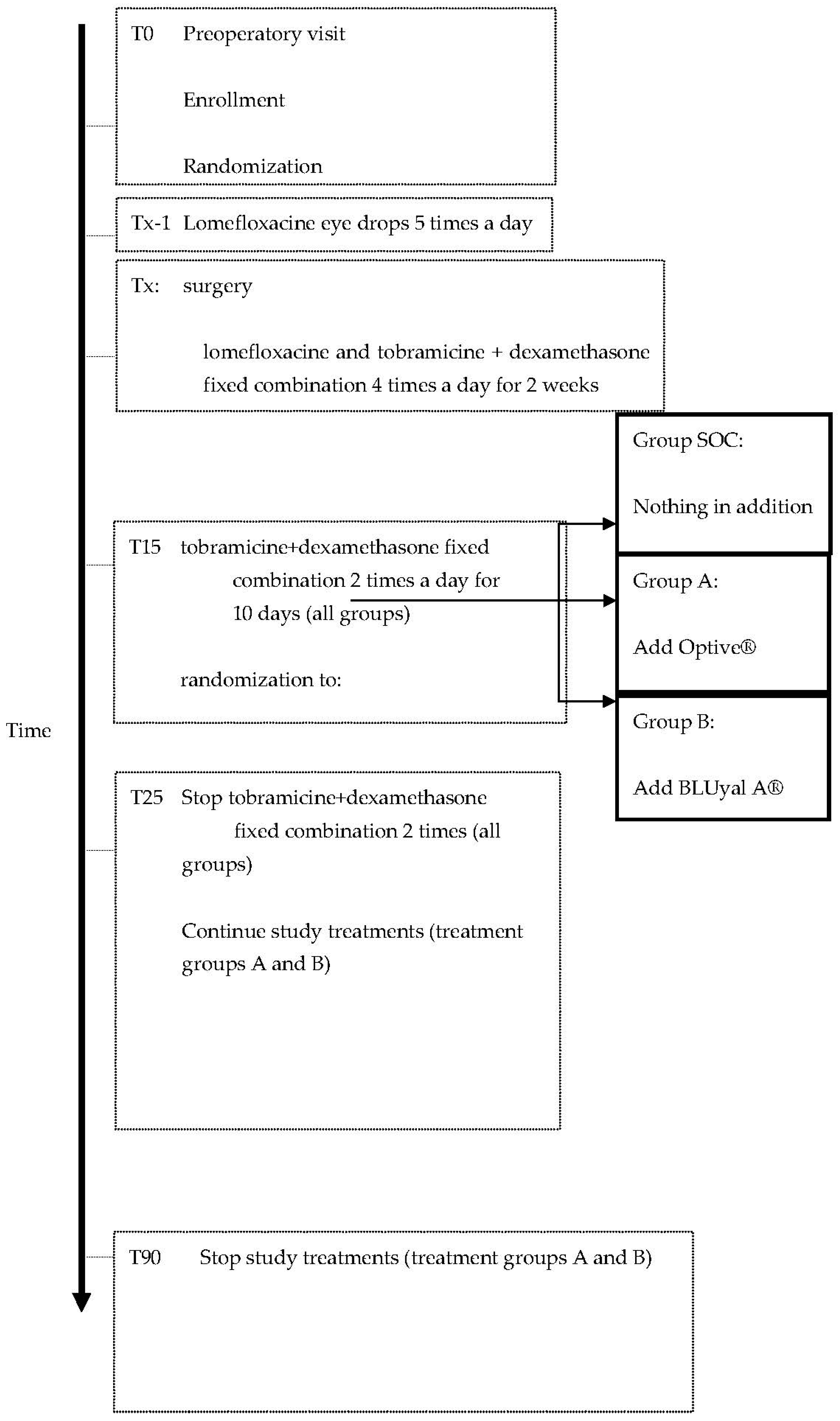 Vision 06 00042 g001