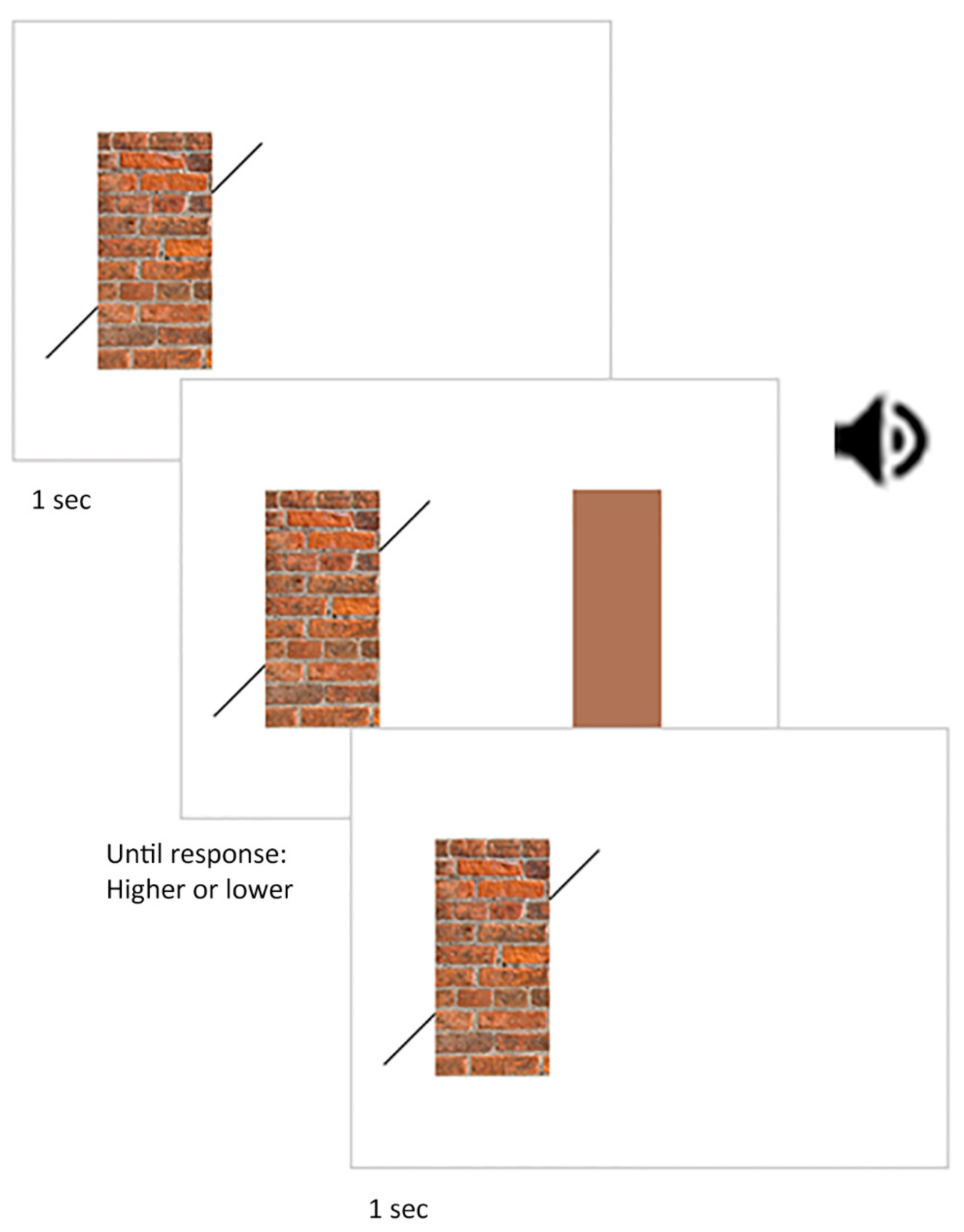 Vision 06 00044 g004