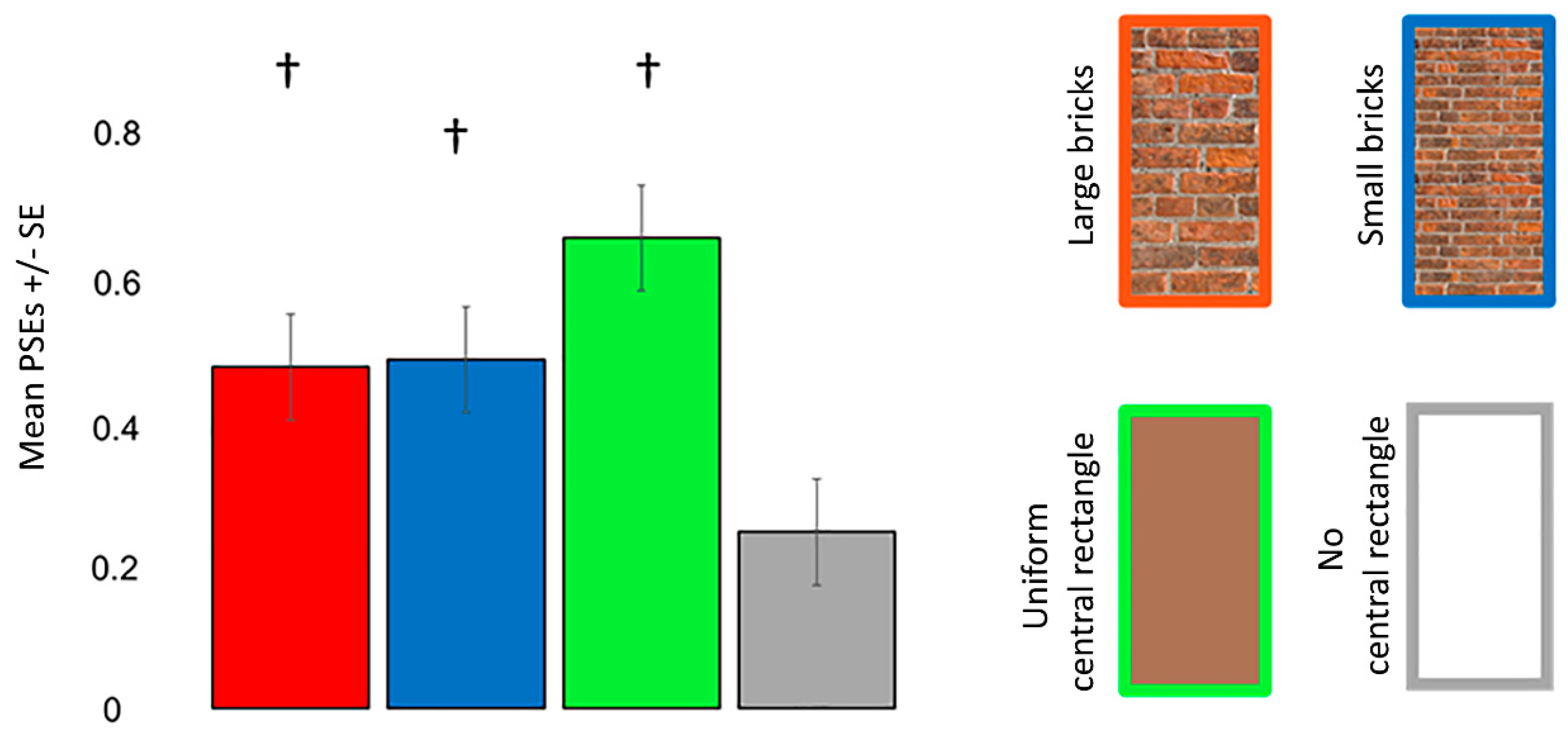 Vision 06 00044 g005