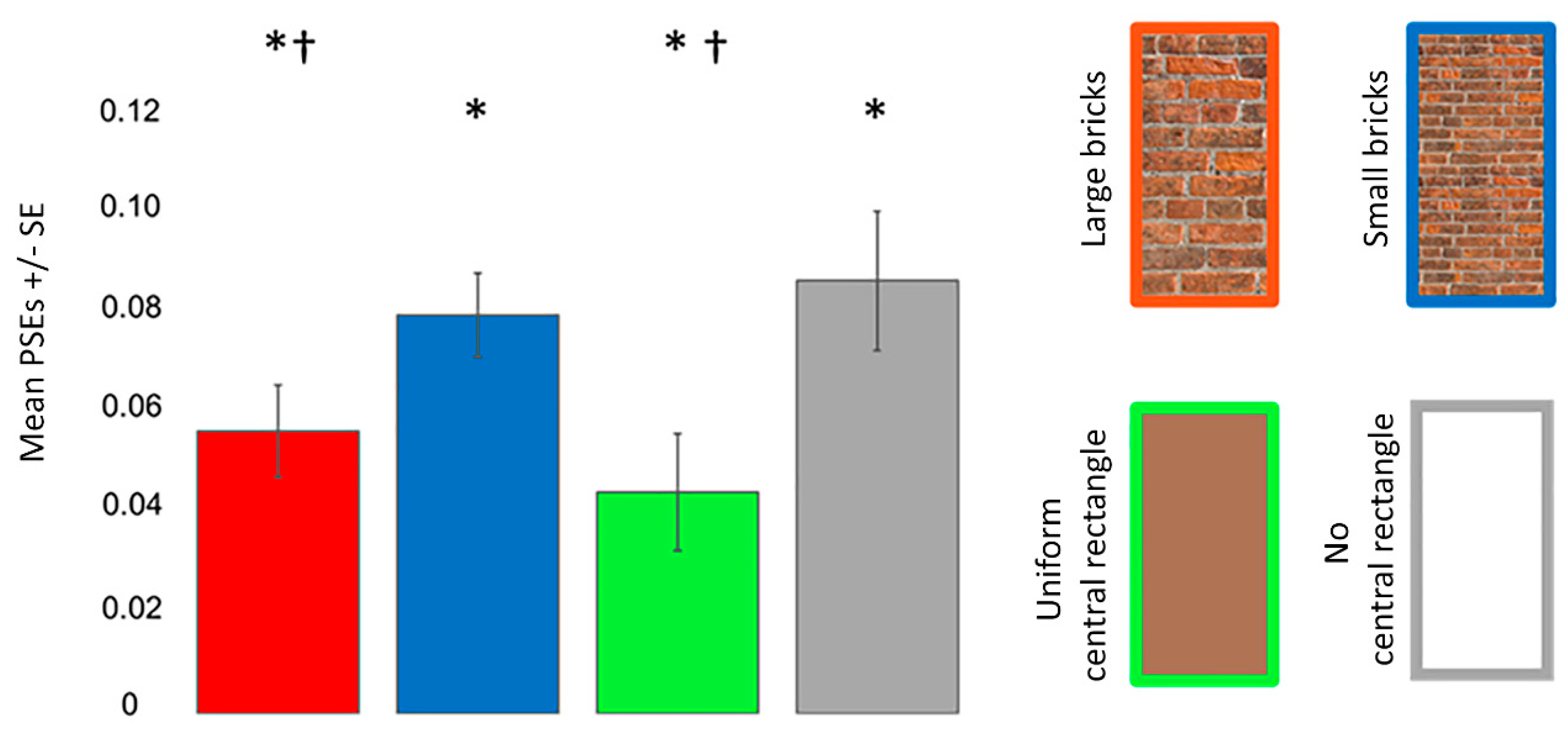 Vision 06 00044 g007