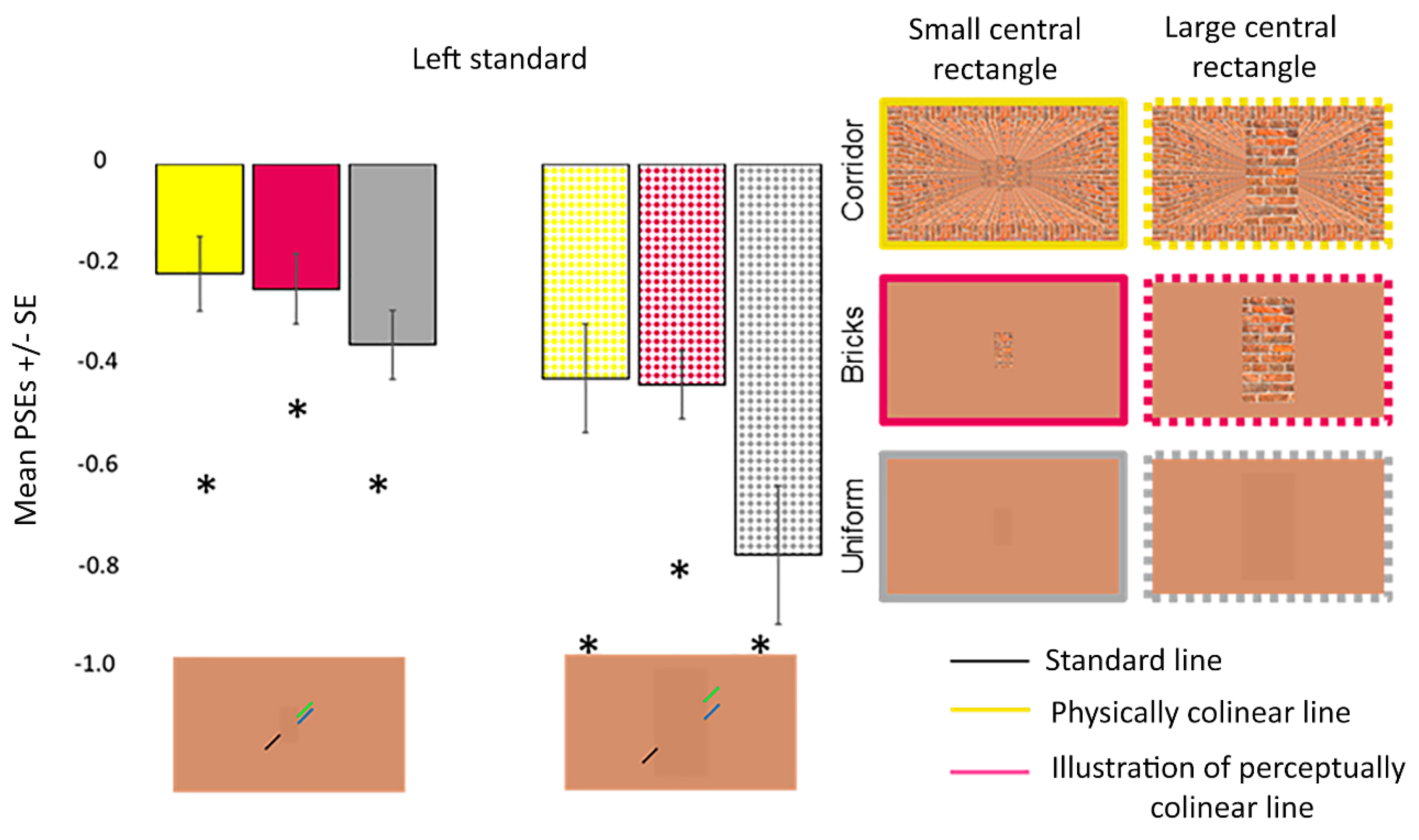 Vision 06 00044 g009