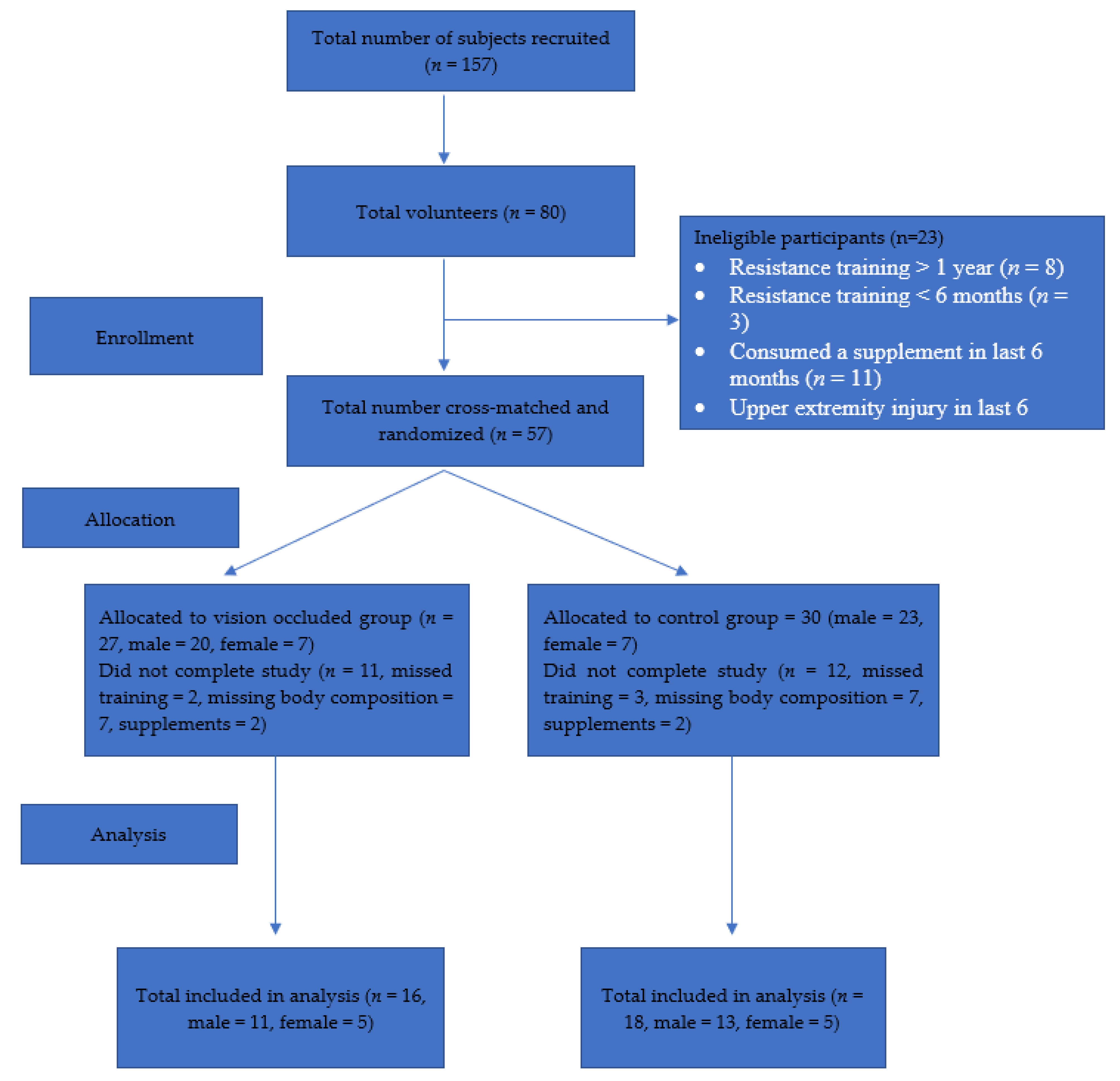 Vision 06 00047 g001