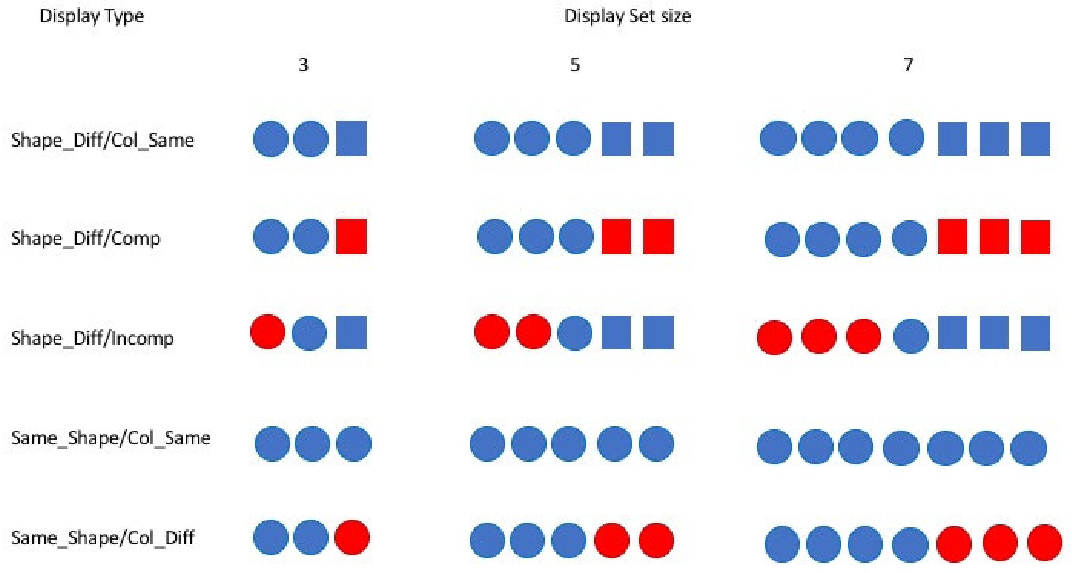 Vision 06 00051 g001