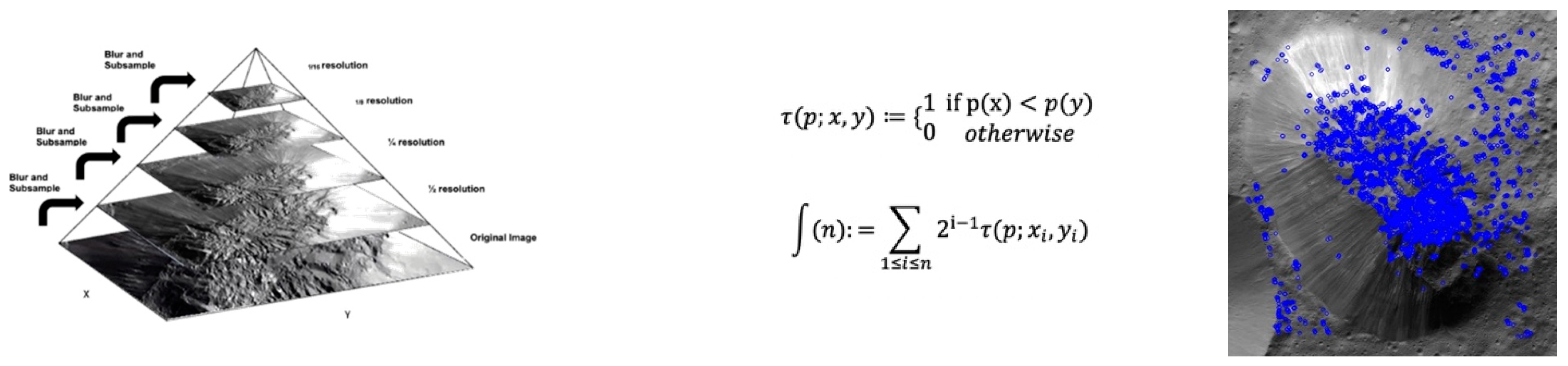 Vision 06 00054 g003