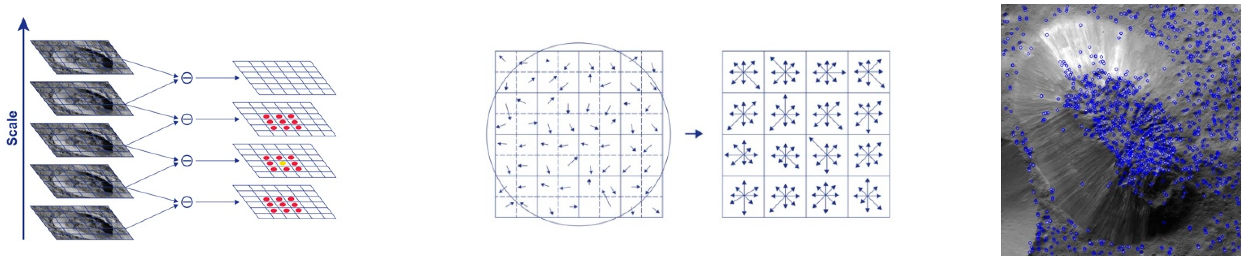 Vision 06 00054 g004