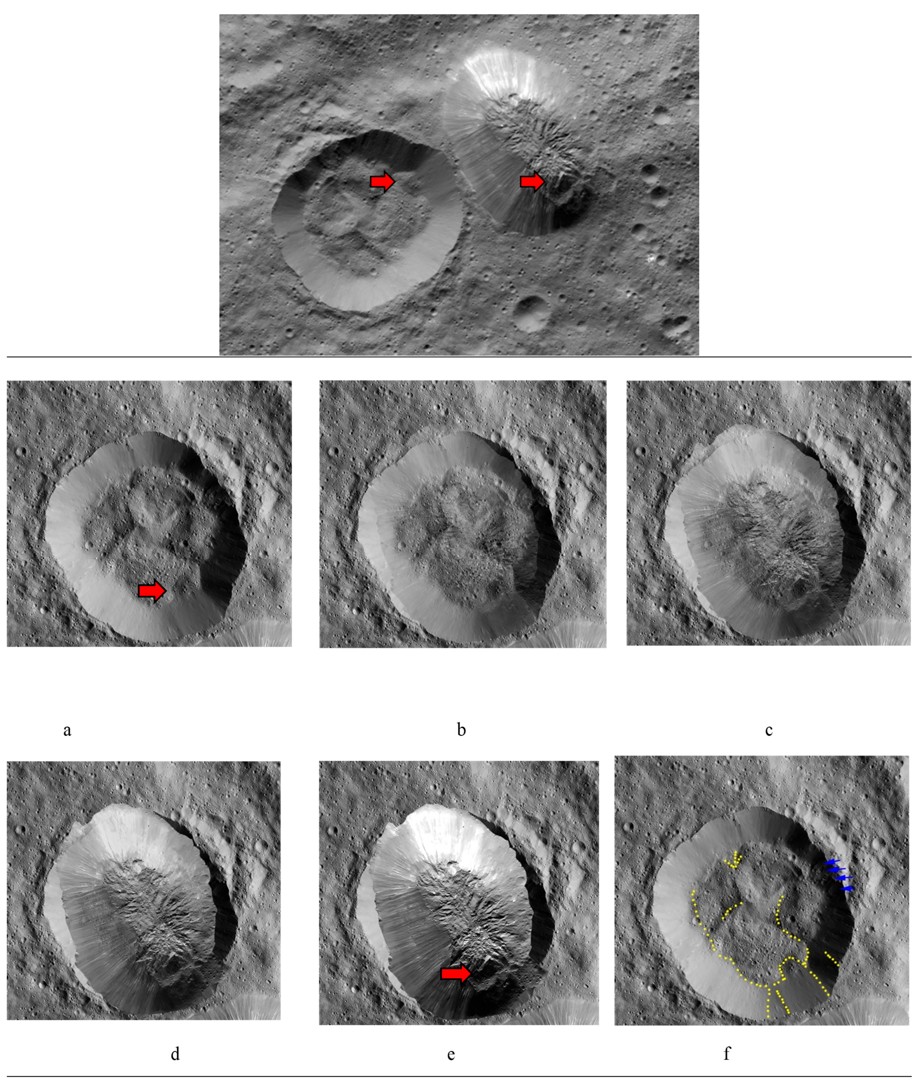 Vision 06 00054 g008