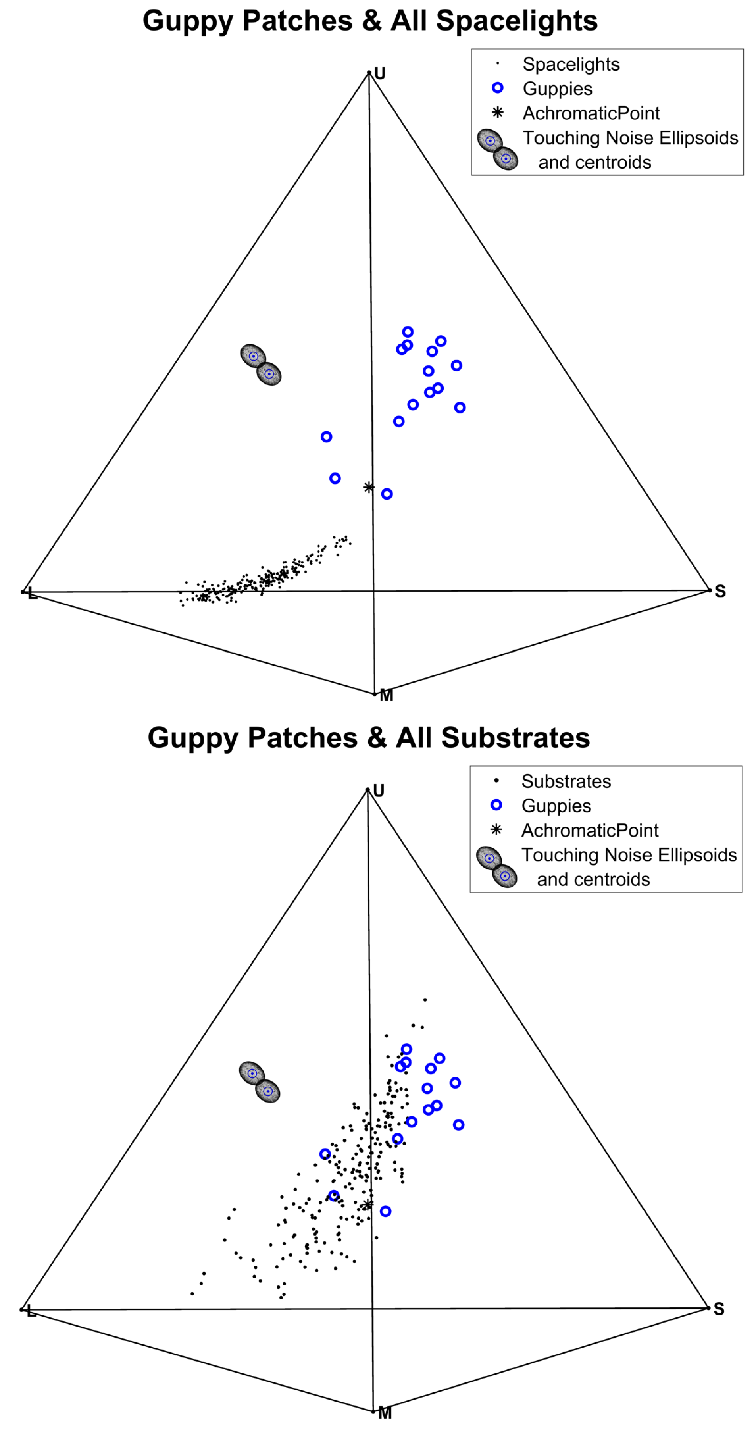 Vision 06 00056 g003