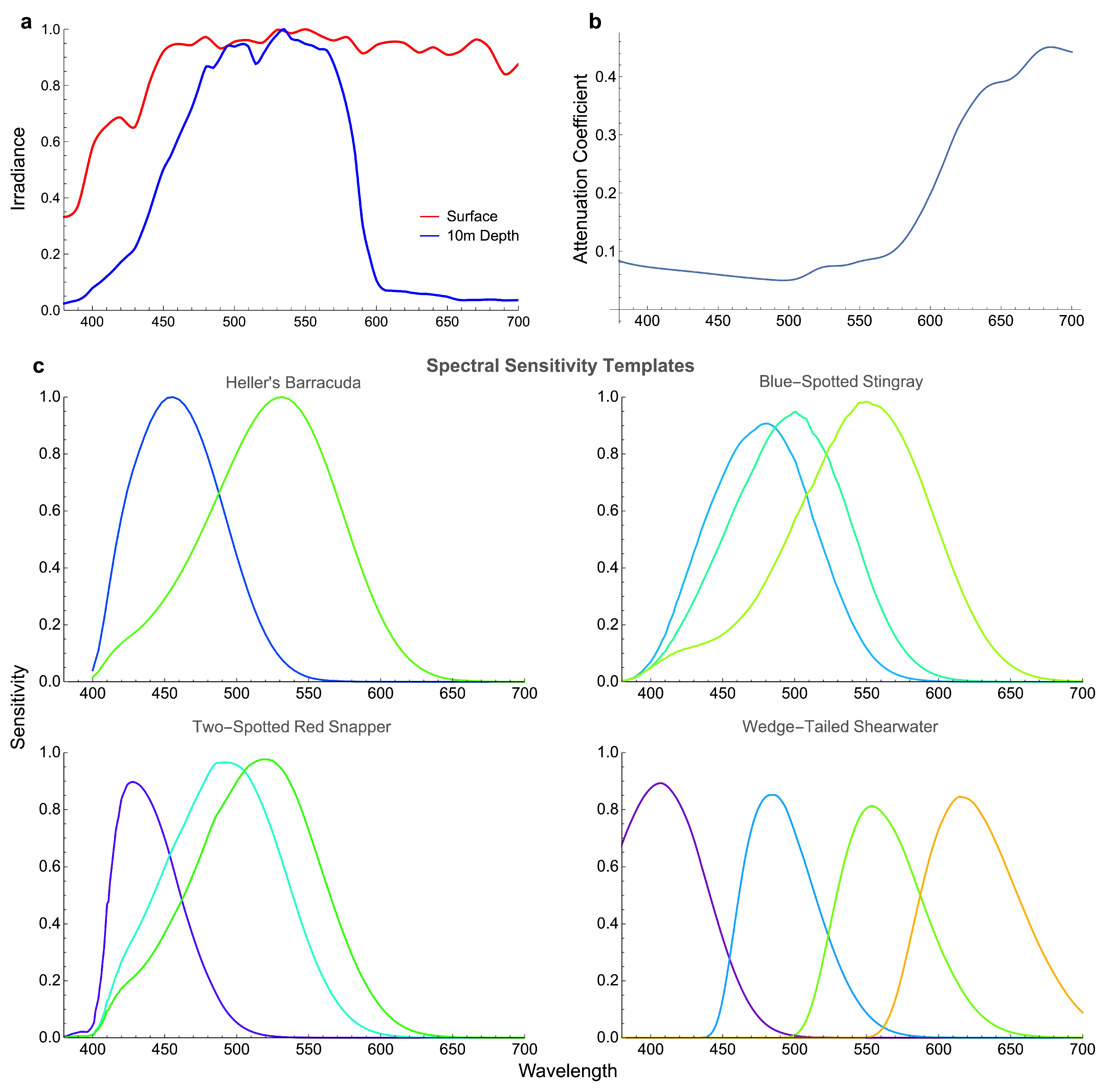 Vision 06 00059 g002