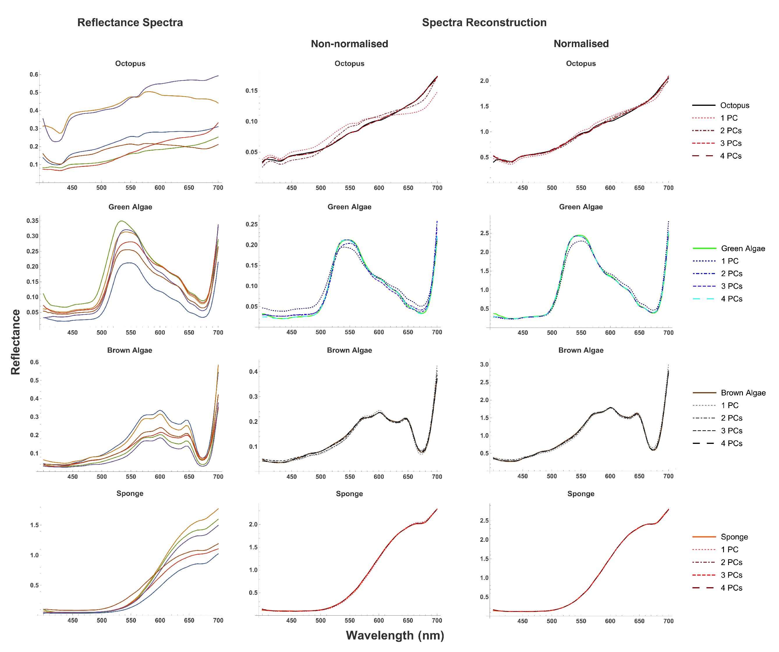 Vision 06 00059 g003
