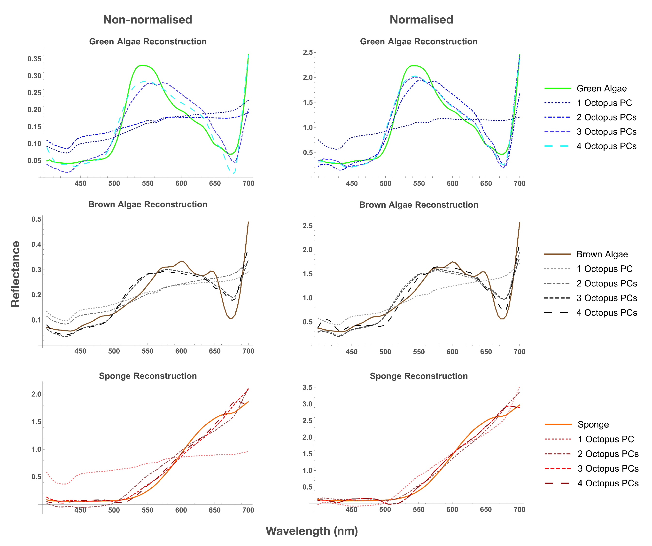 Vision 06 00059 g004