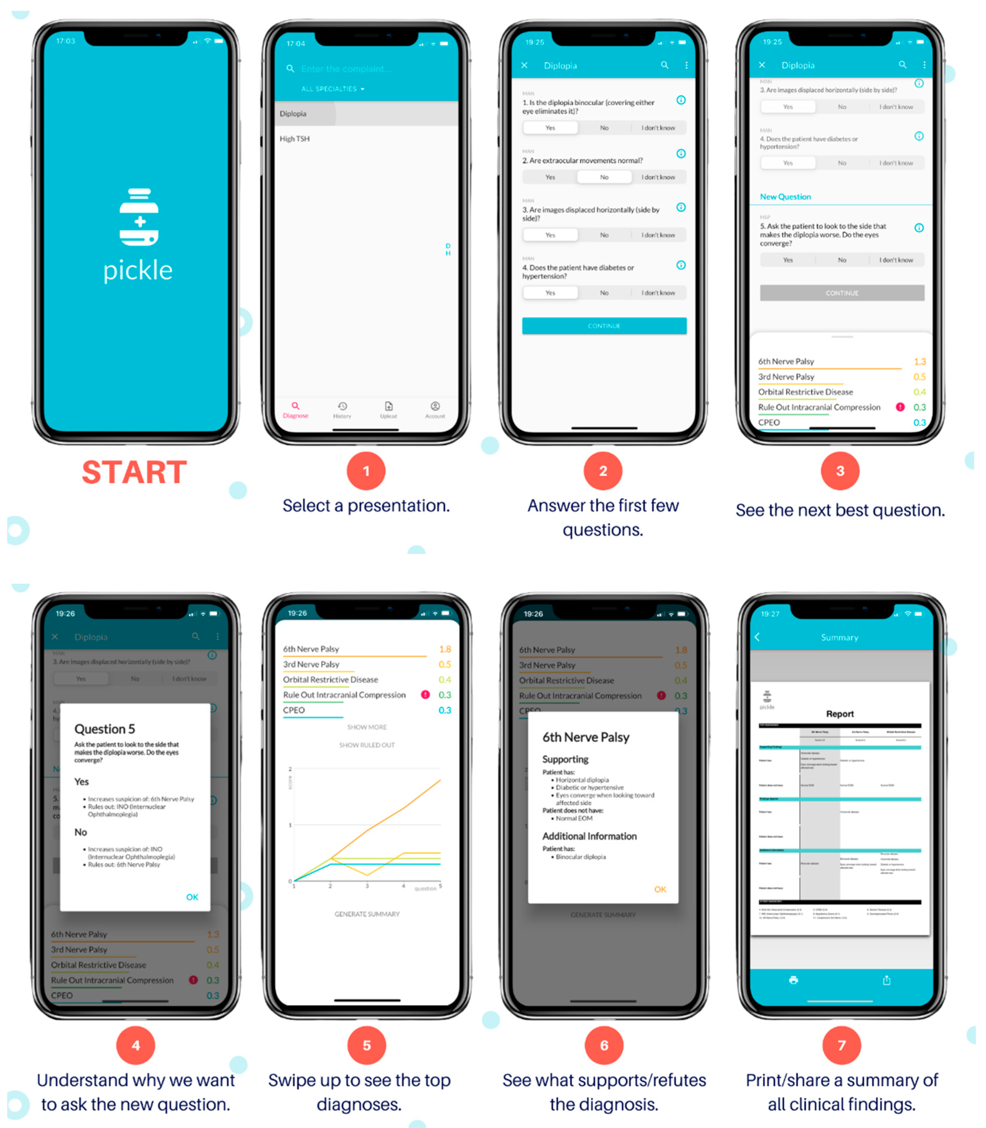 Vision 06 00064 g001