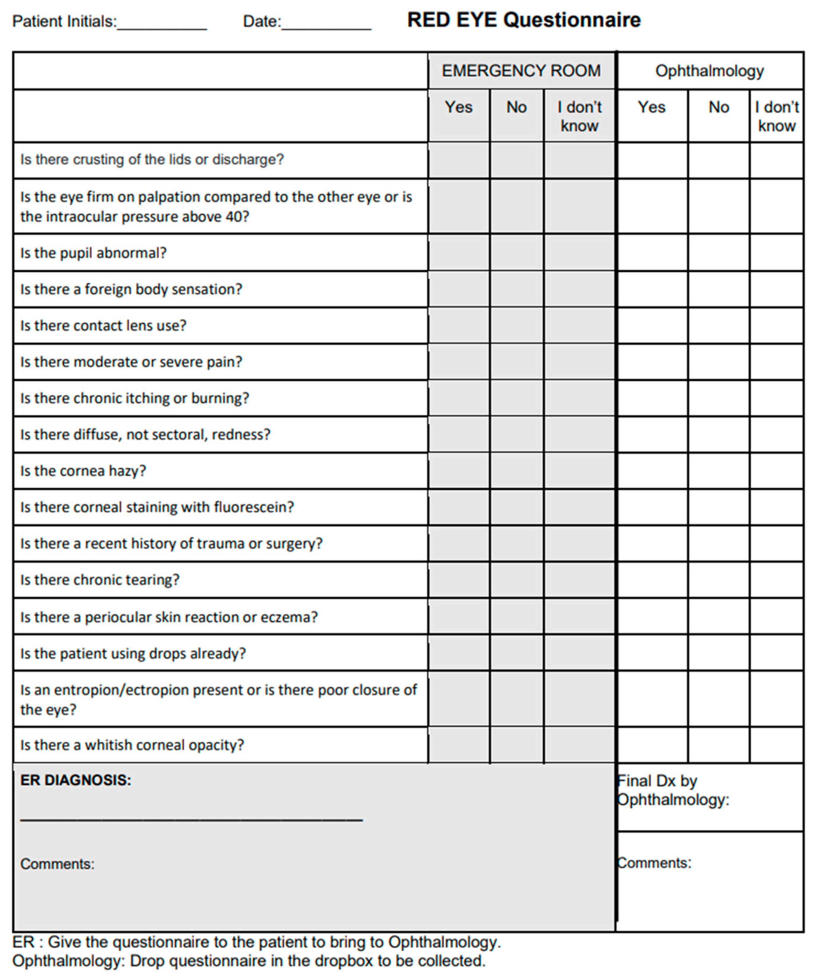 Vision 06 00064 g002