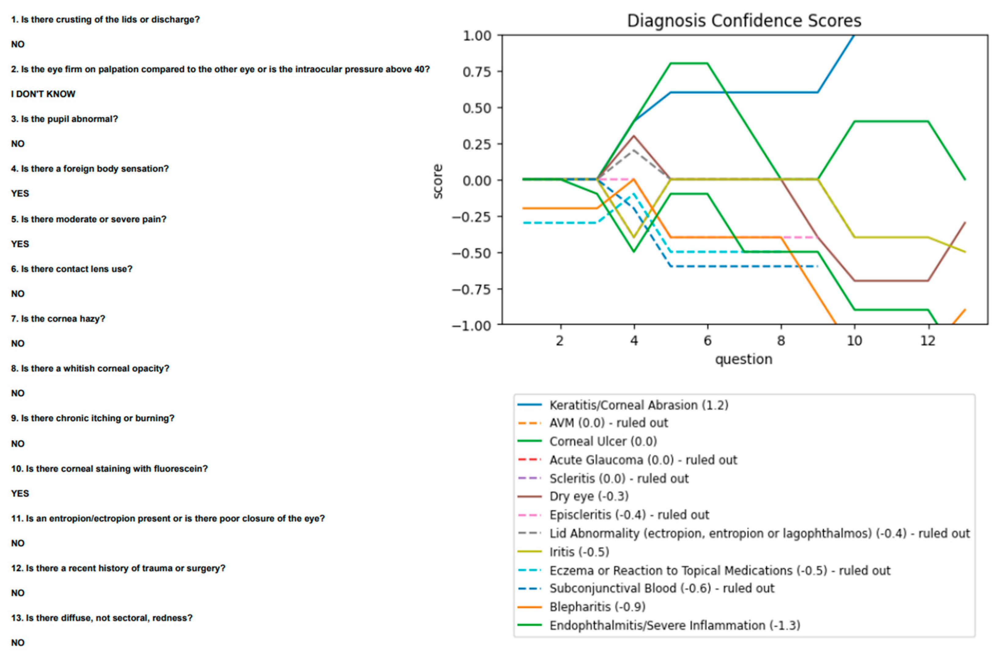 Vision 06 00064 g005