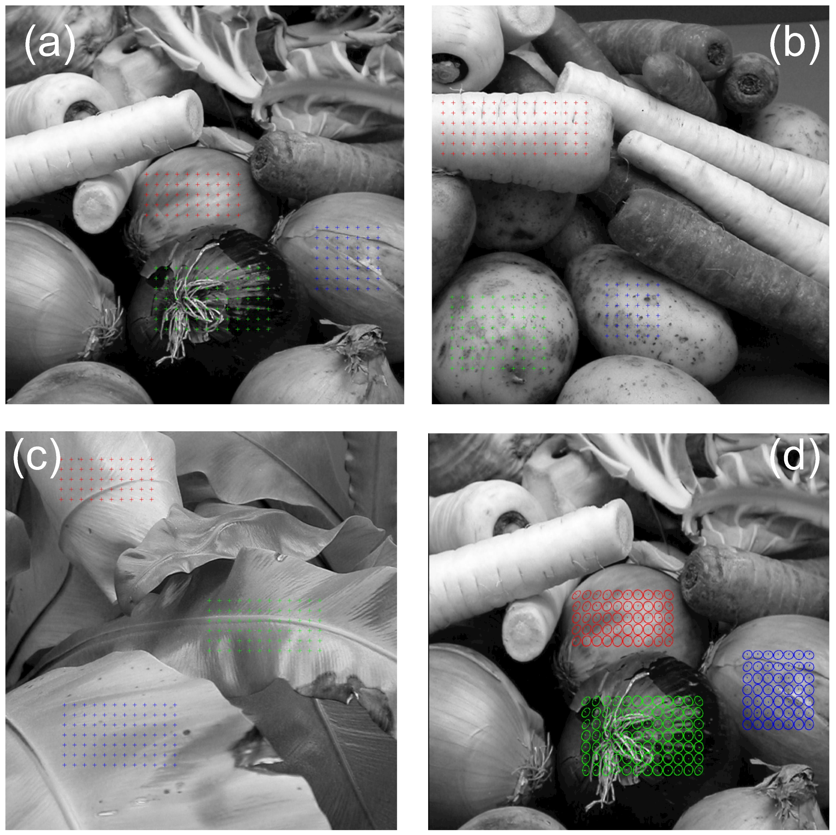 Vision 07 00001 g001