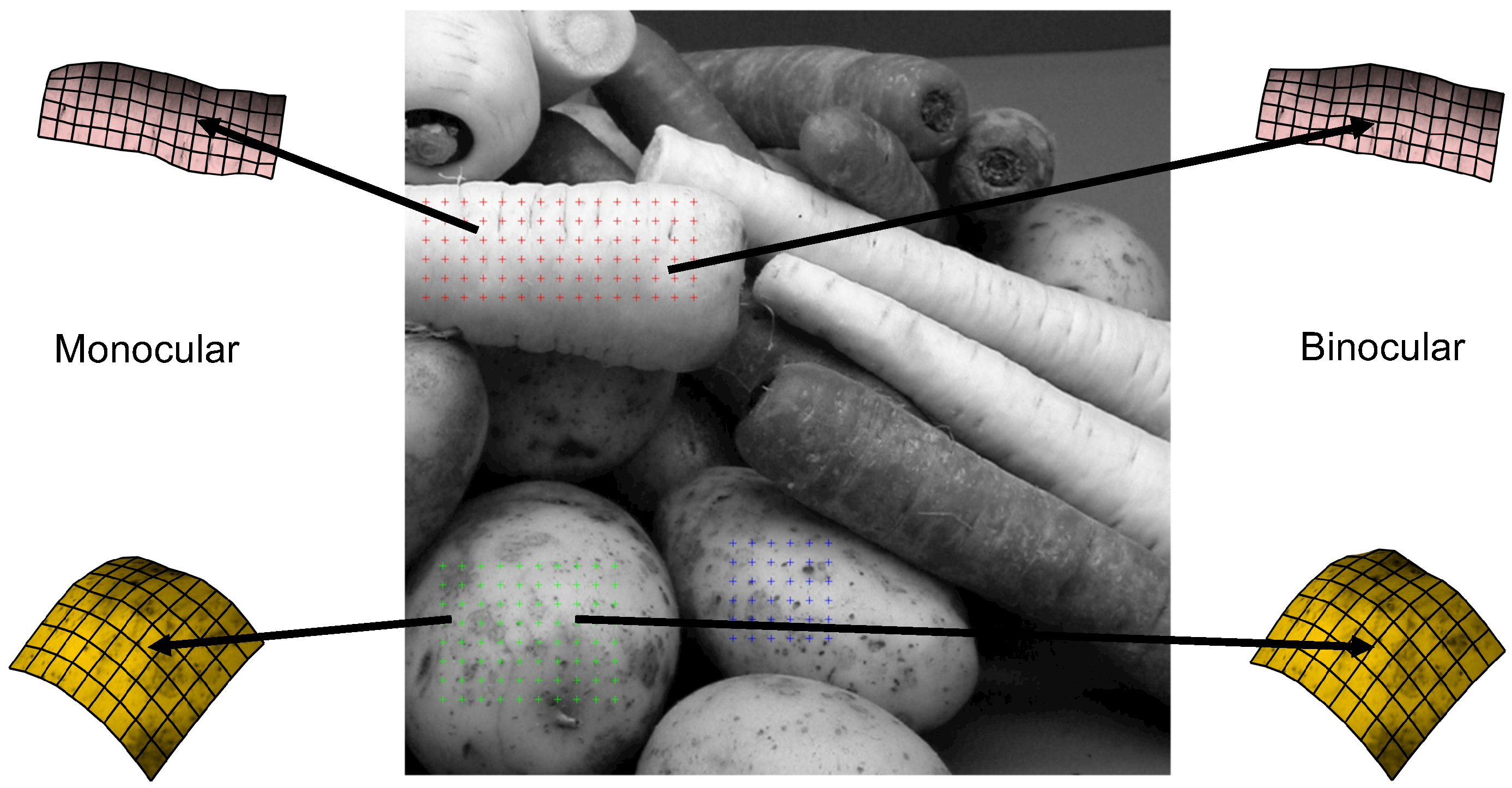 Vision 07 00001 g002