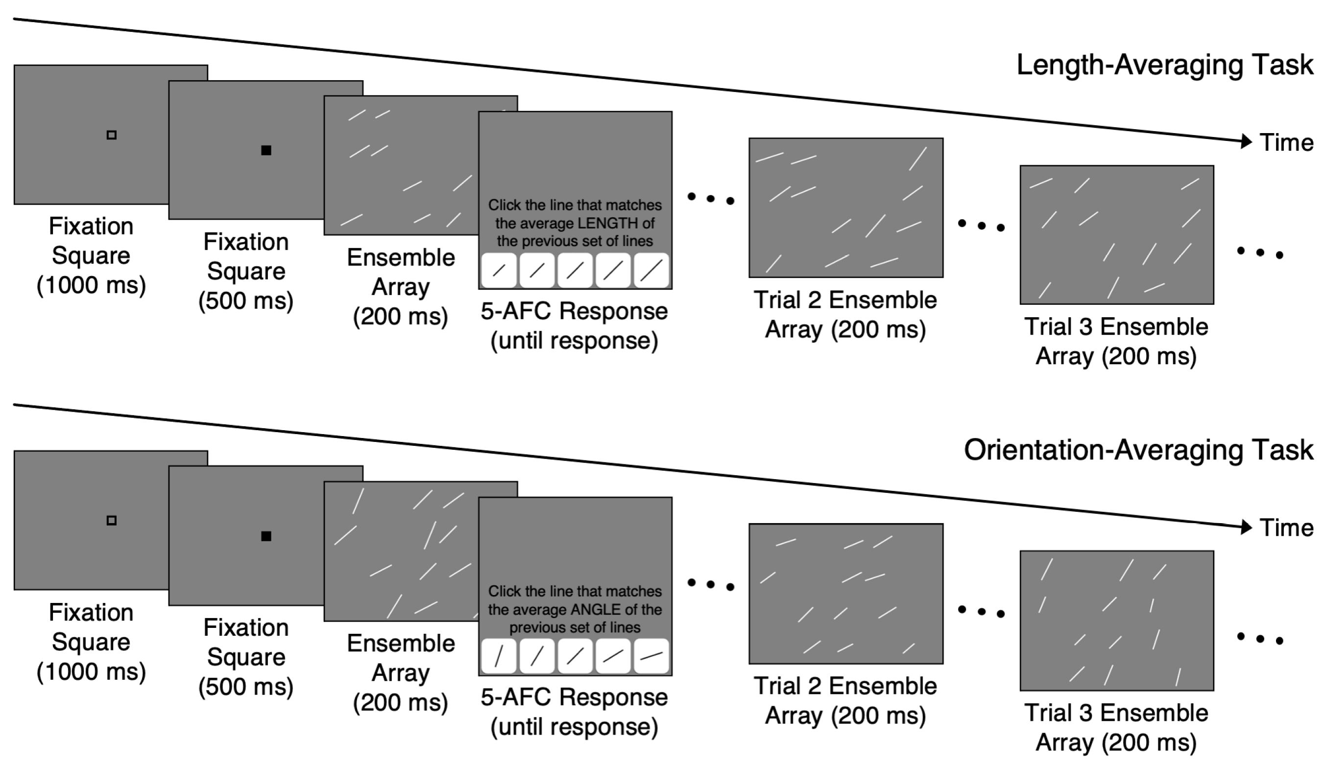 Vision 07 00003 g001