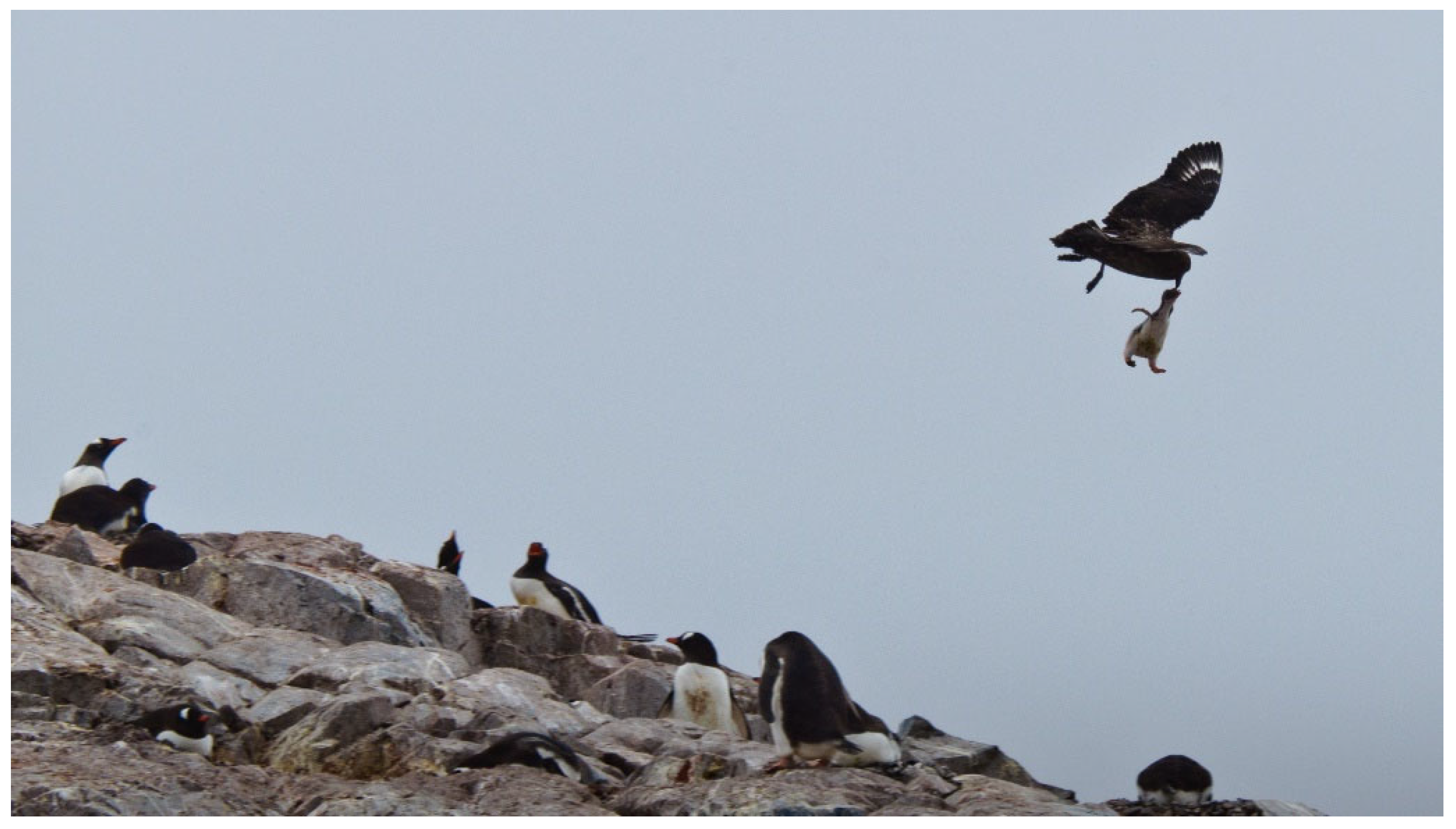 Vision 07 00006 g001 Vision 07 00006 g001