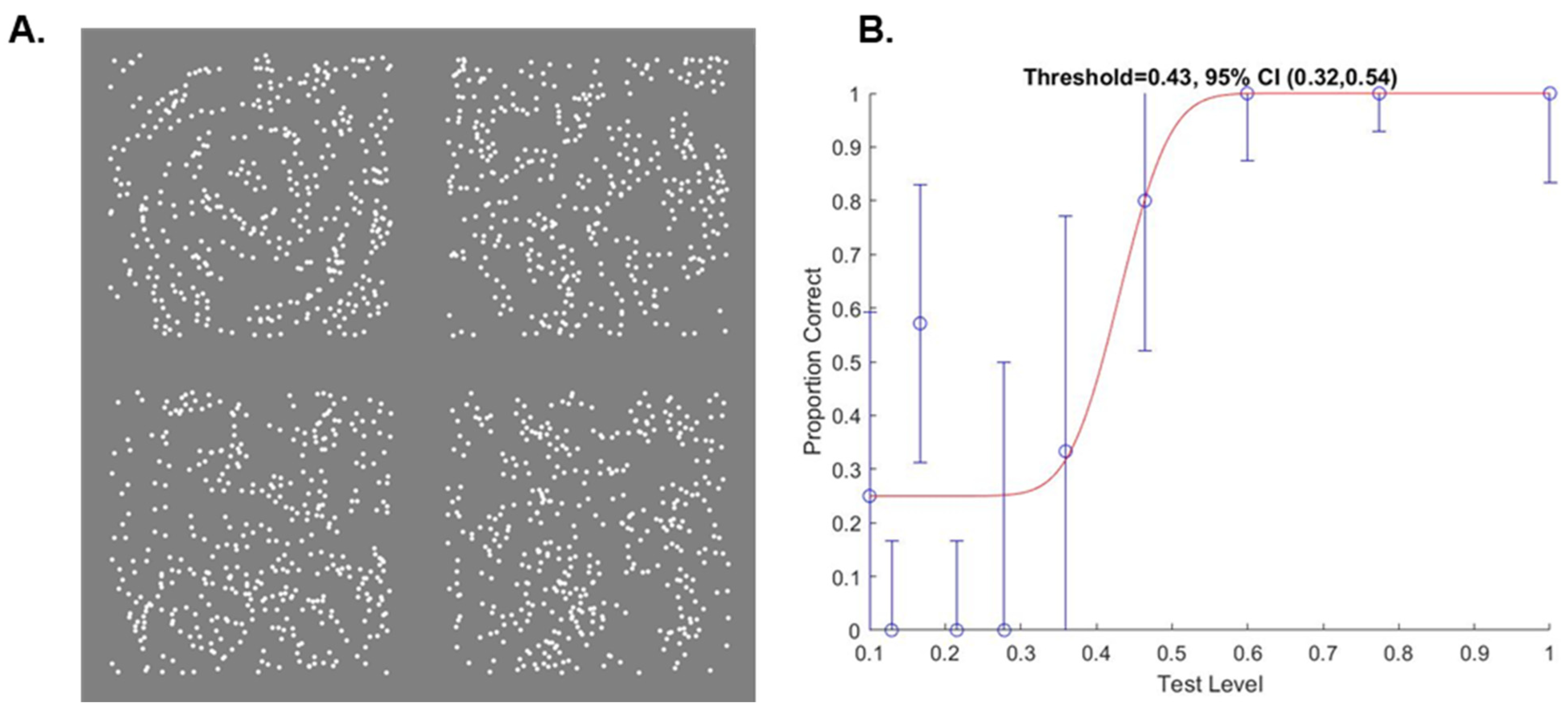 Vision 07 00009 g002