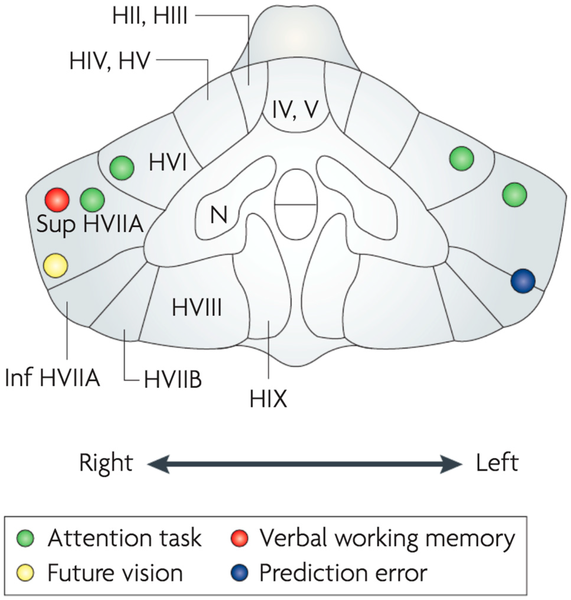 Vision 07 00012 g003 Vision 07 00012 g003