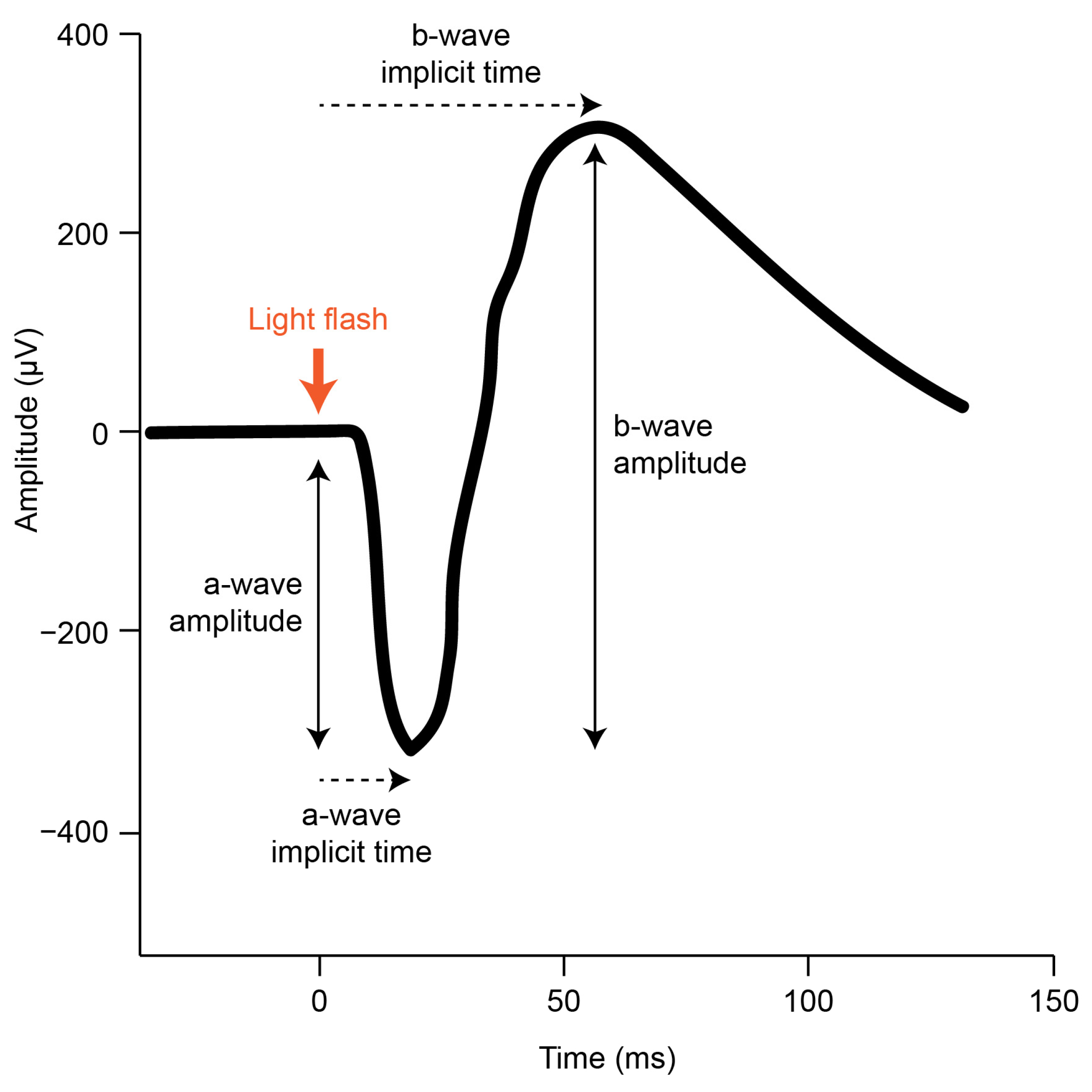 Vision 07 00015 g001 Vision 07 00015 g001