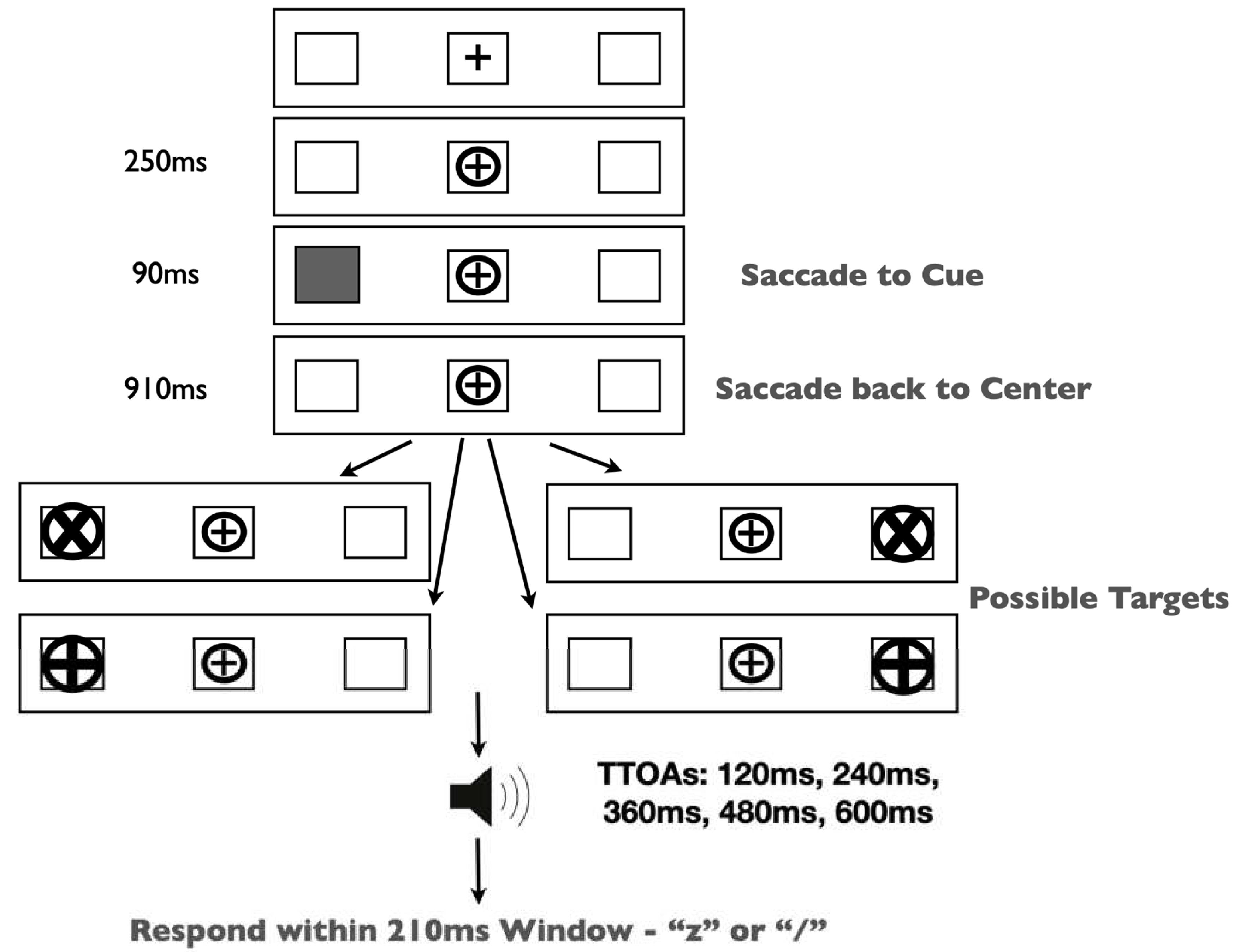Vision 07 00025 g006
