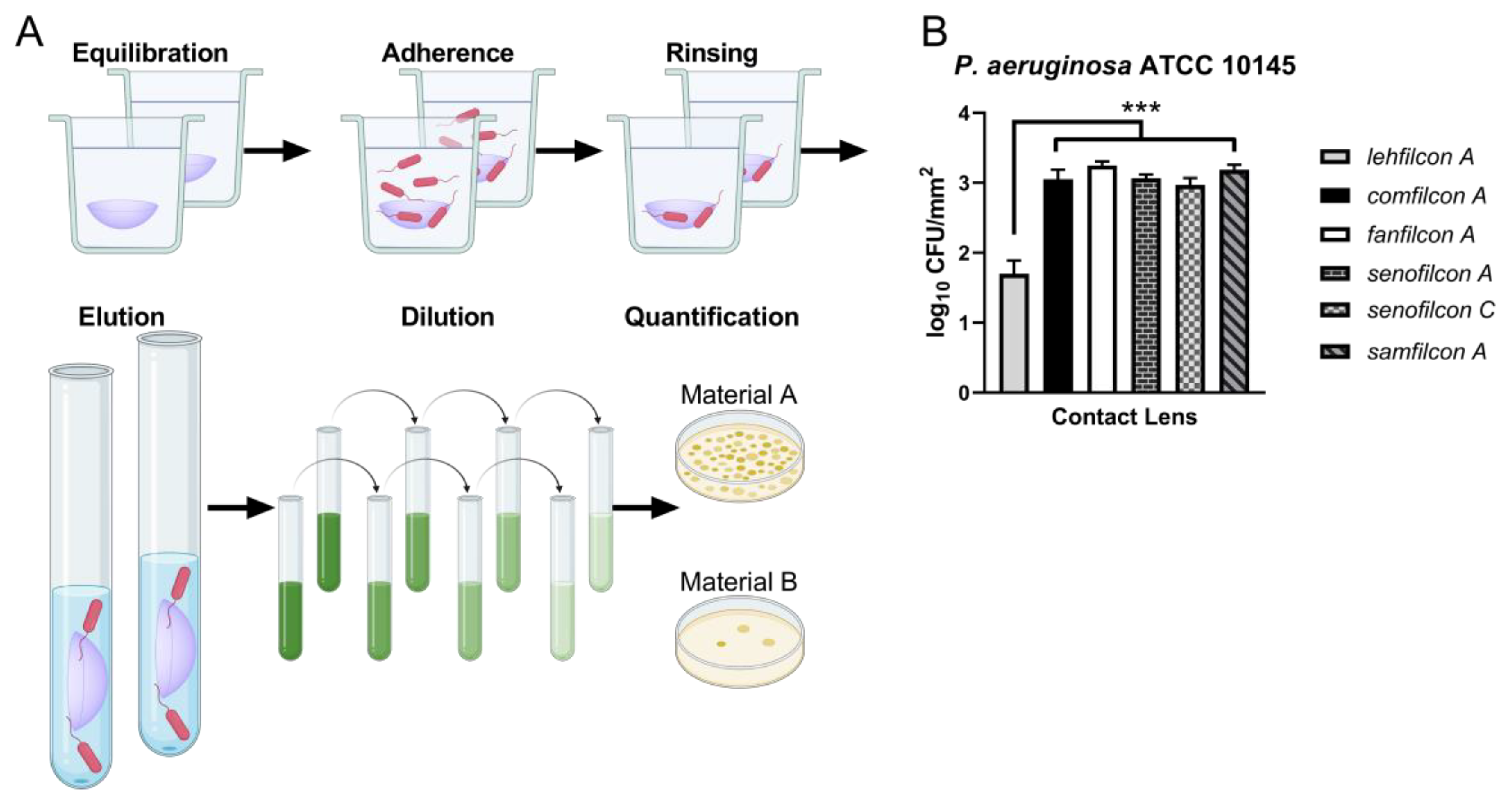 Vision 07 00027 g002 Vision 07 00027 g002