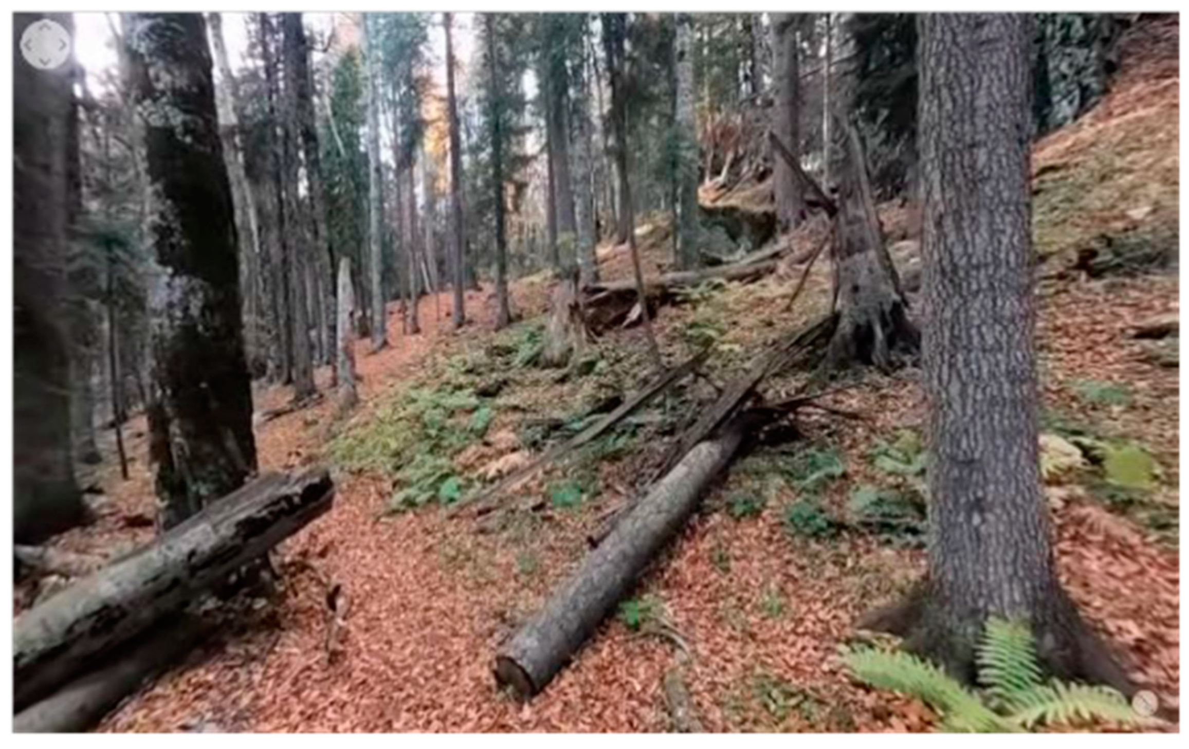 Vision 07 00030 g001 Vision 07 00030 g001