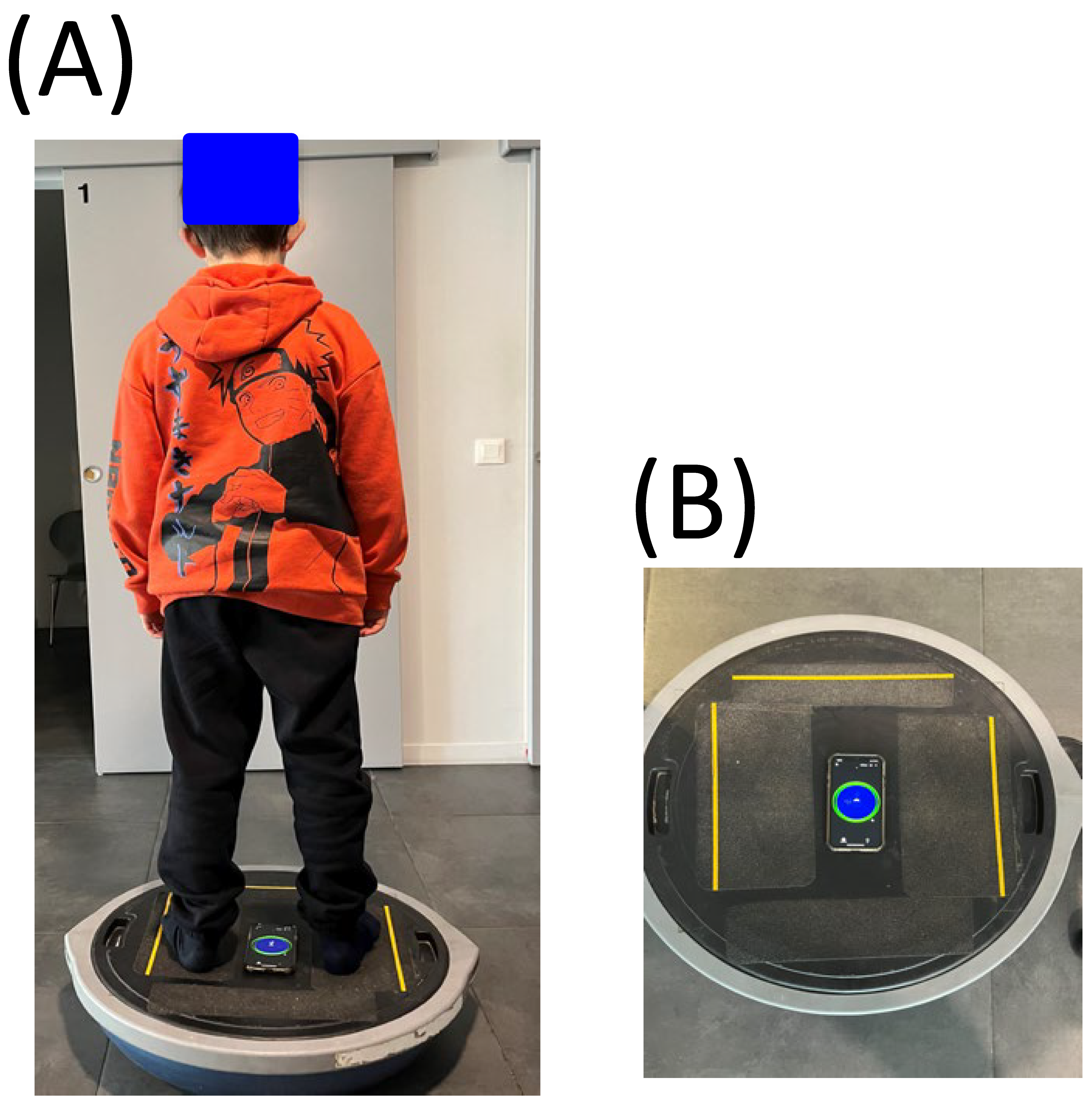 Vision 07 00037 g001