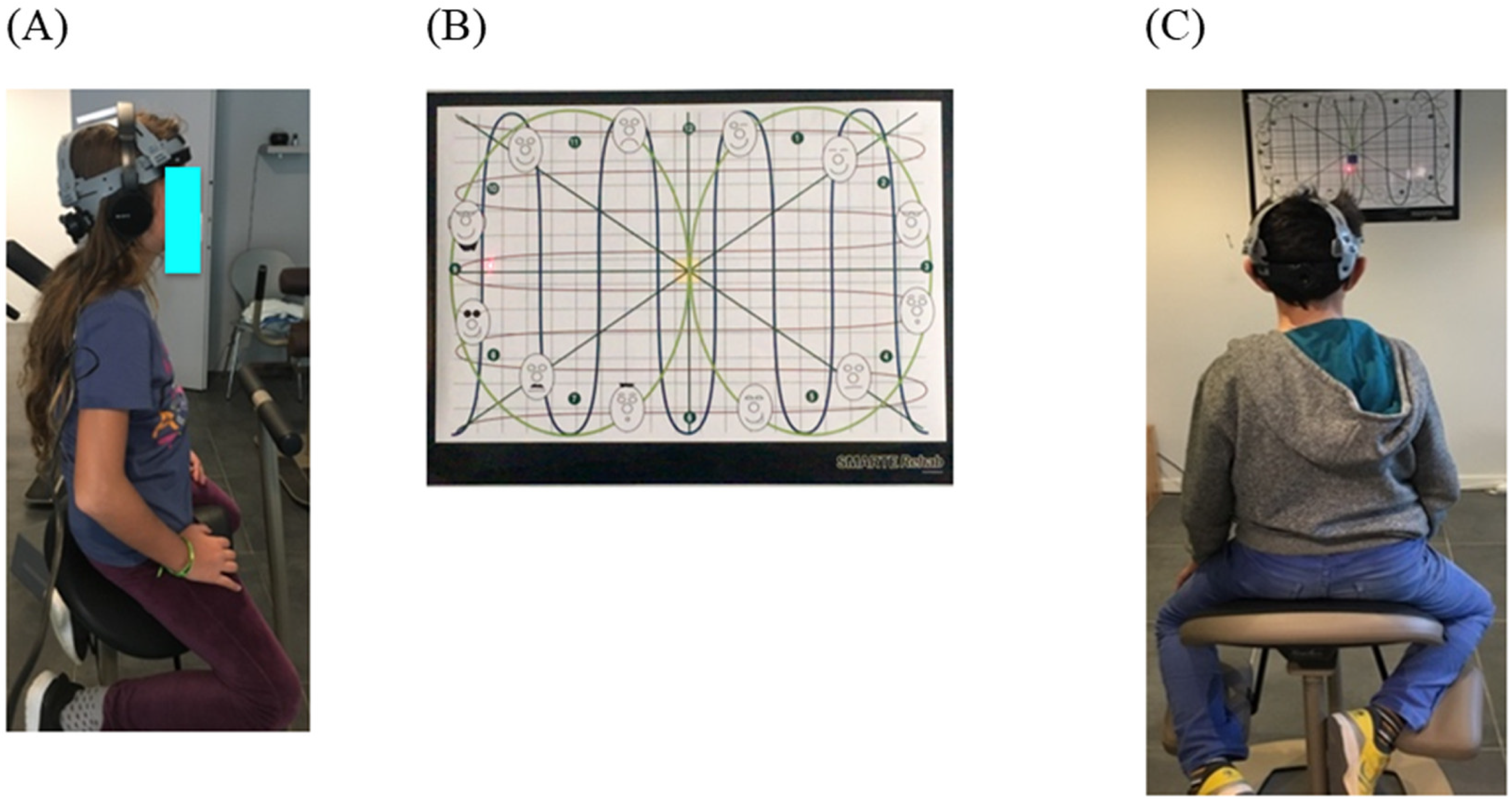 Vision 07 00037 g003