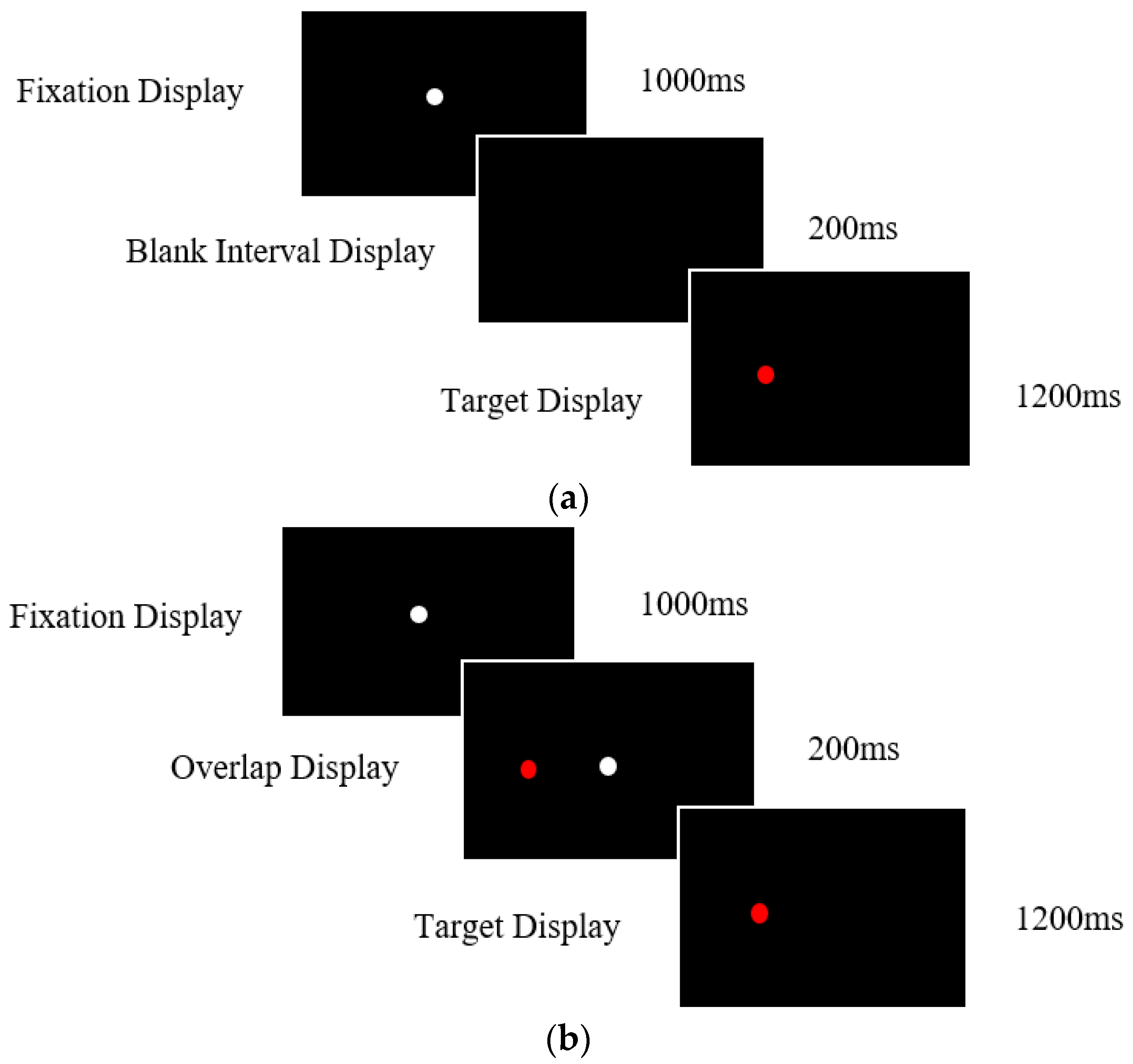 Vision 07 00038 g001 Vision 07 00038 g001
