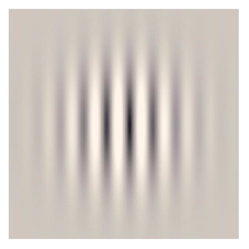 Vision 07 00042 g002