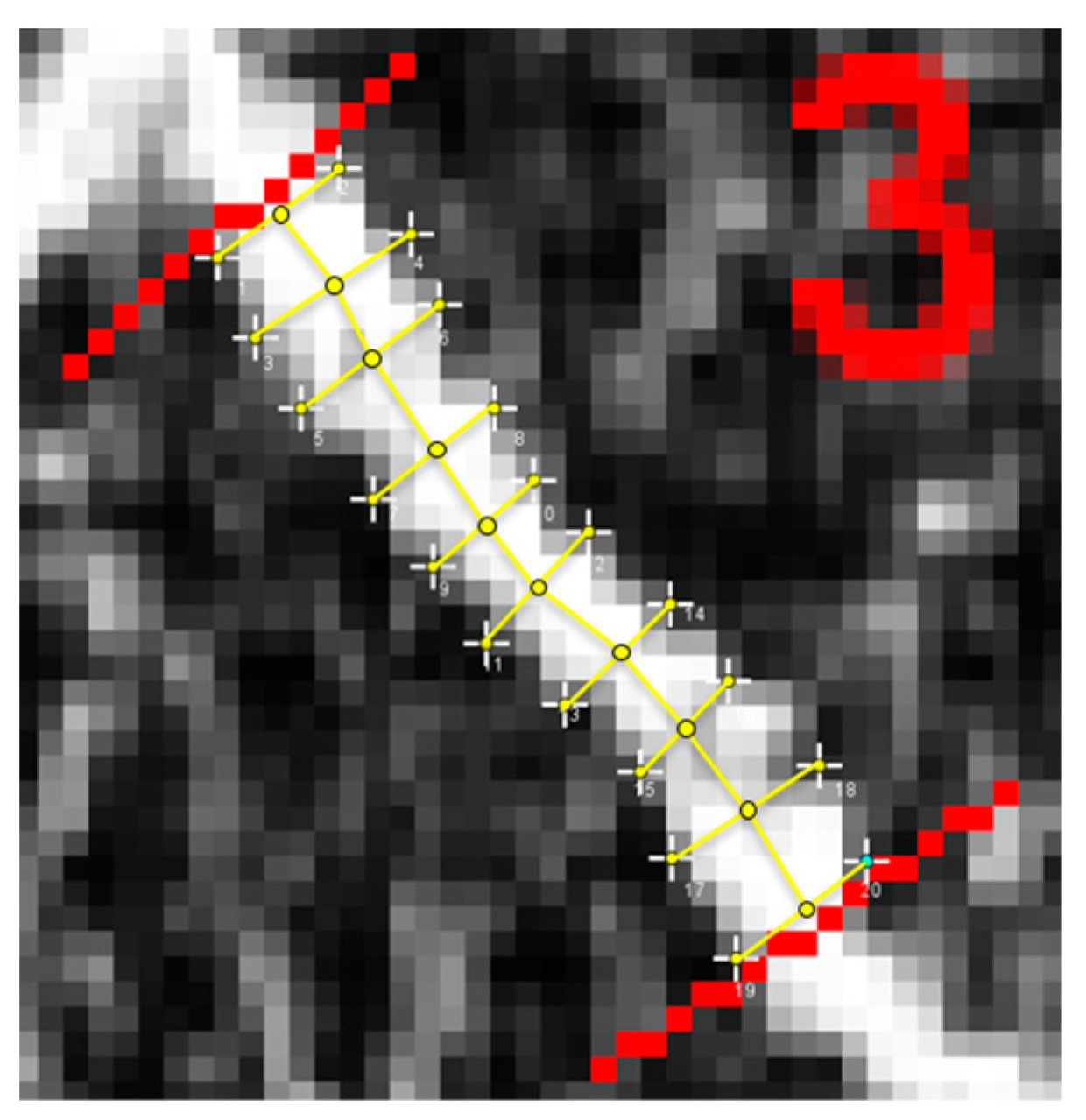 Vision 07 00048 g004 Vision 07 00048 g004