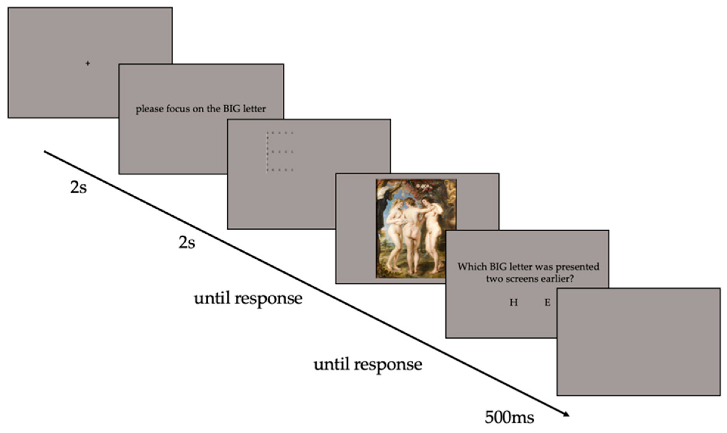 Vision 07 00055 g003