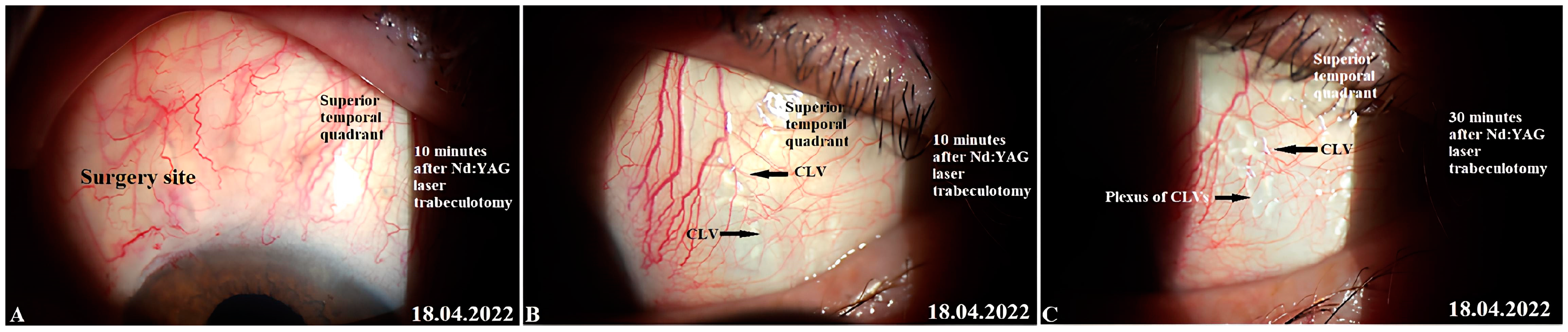 Vision 07 00059 g009