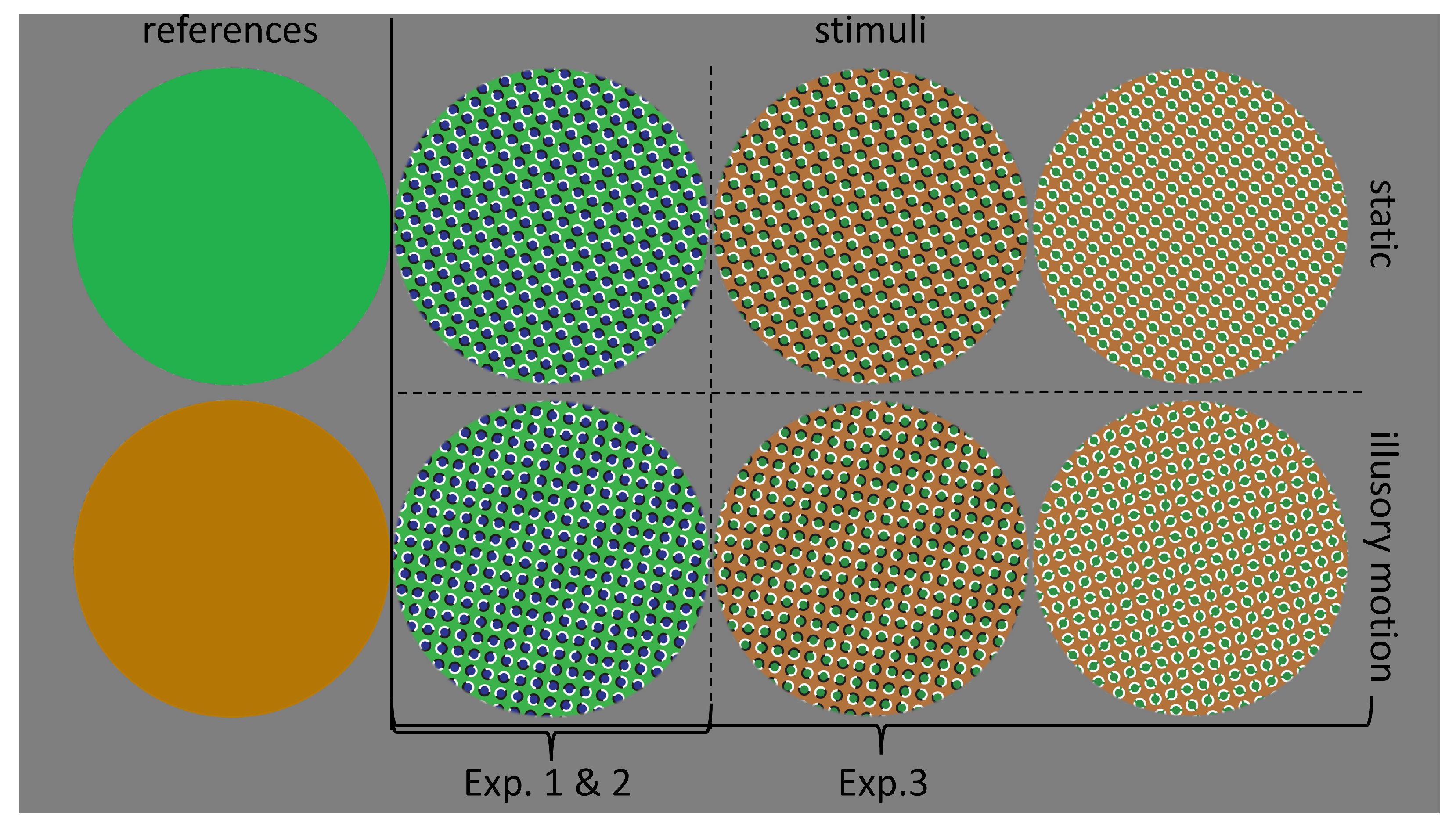 Vision 07 00061 g001