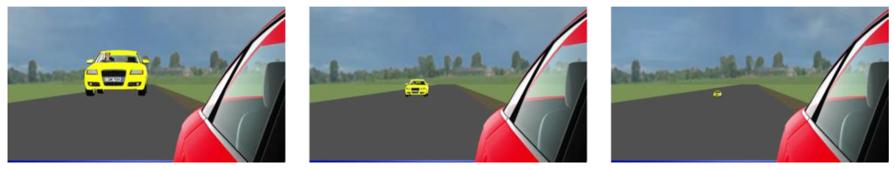 Vision 07 00065 g002