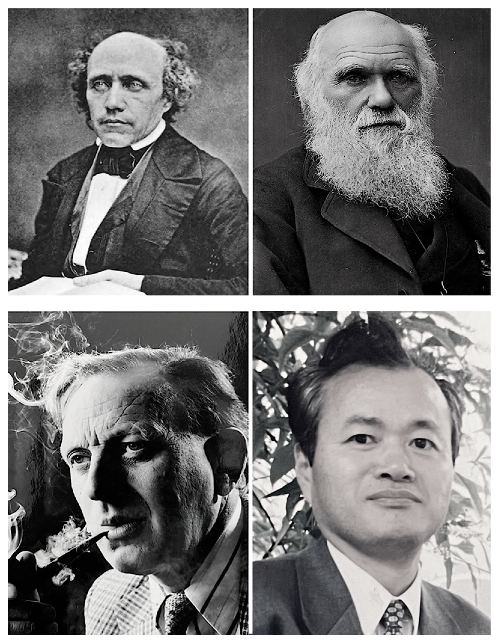 Vision 07 00067 g002 Vision 07 00067 g002