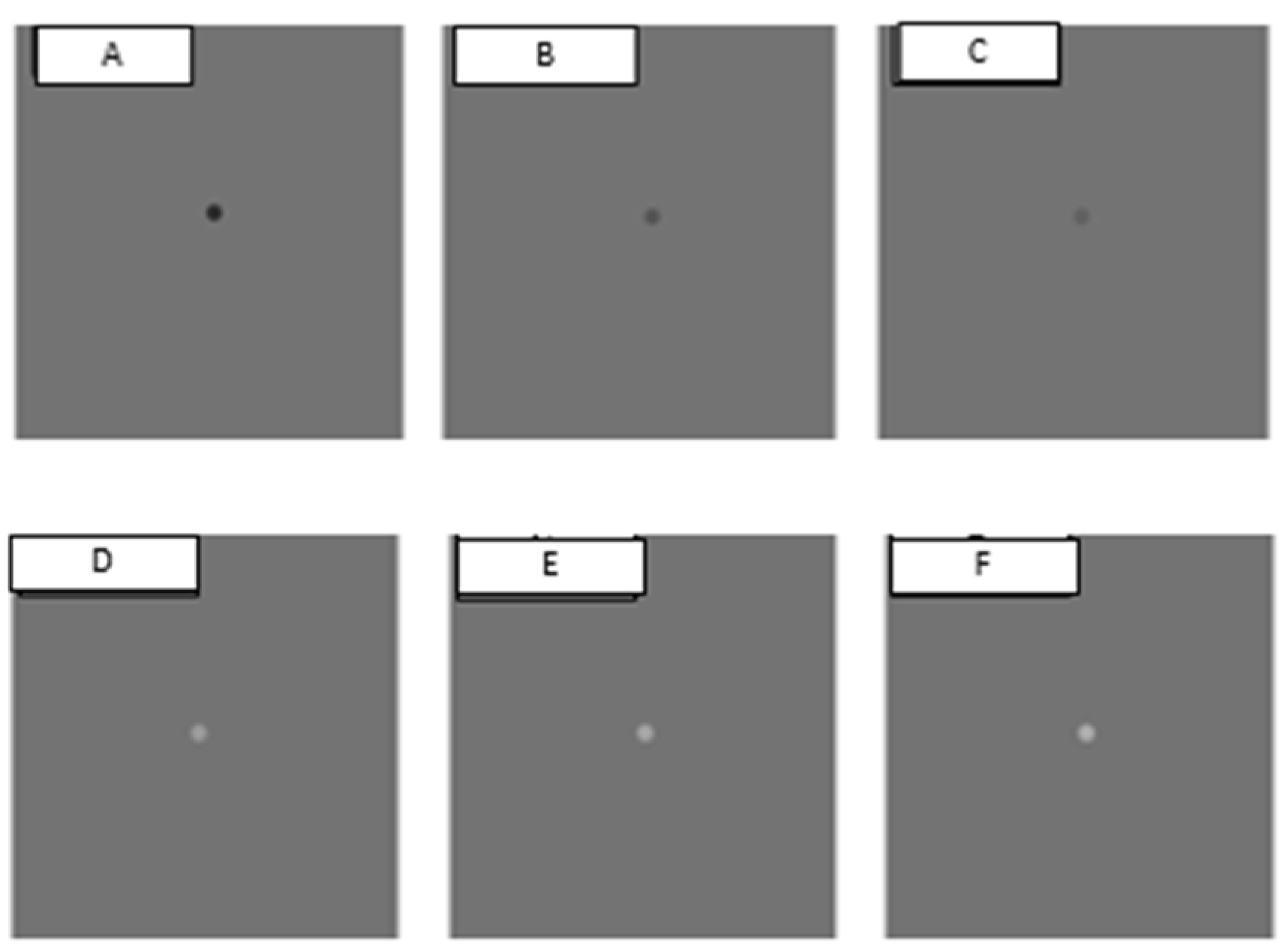 Vision 07 00068 g001