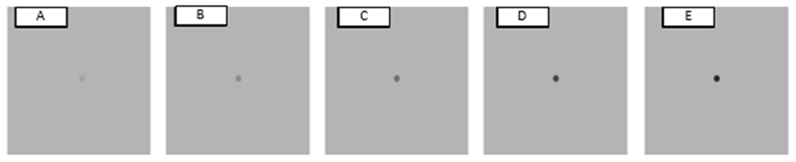 Vision 07 00068 g002