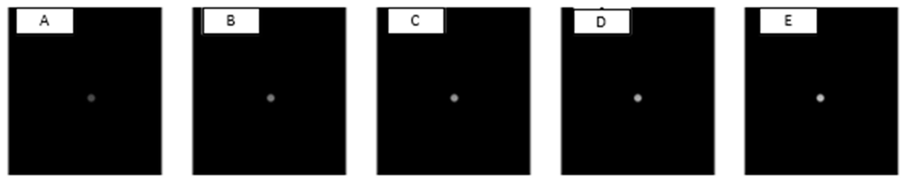 Vision 07 00068 g003