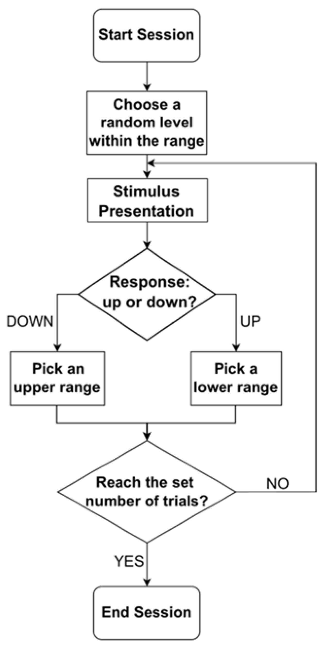 Vision 07 00074 g001