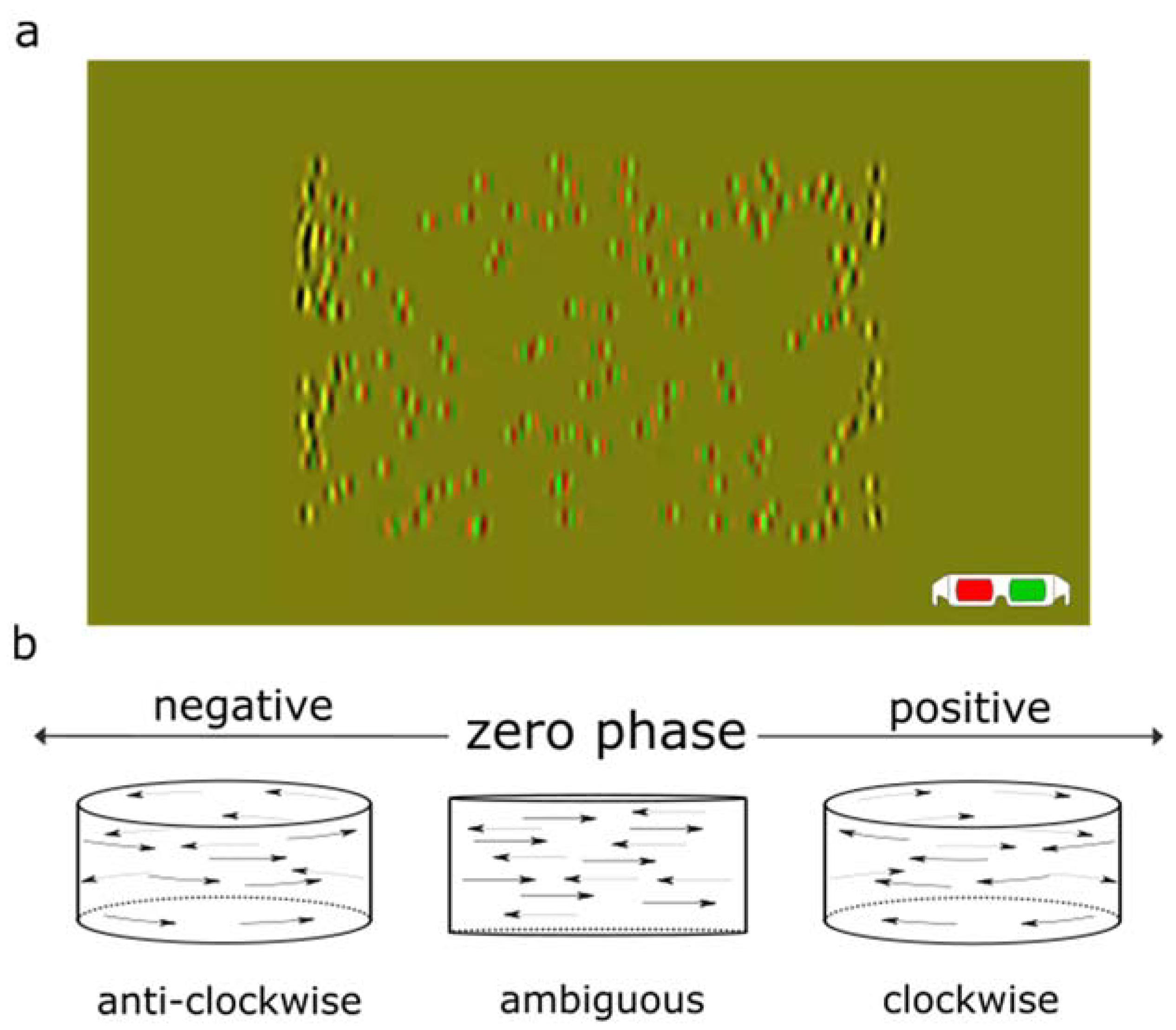 Vision 07 00074 g002