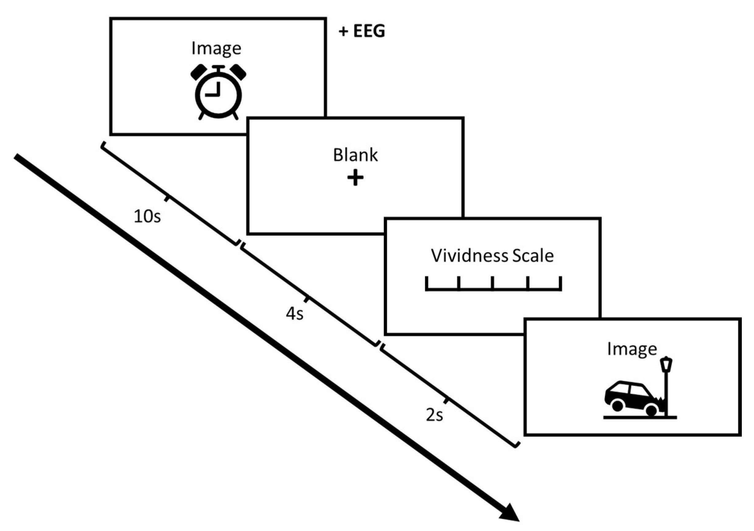 Vision 07 00077 g001 Vision 07 00077 g001