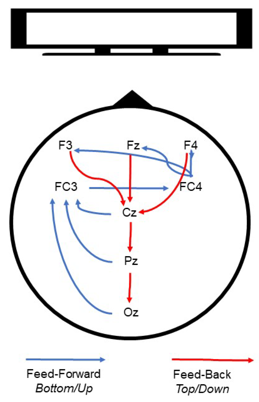 Vision 07 00077 g011 Vision 07 00077 g011