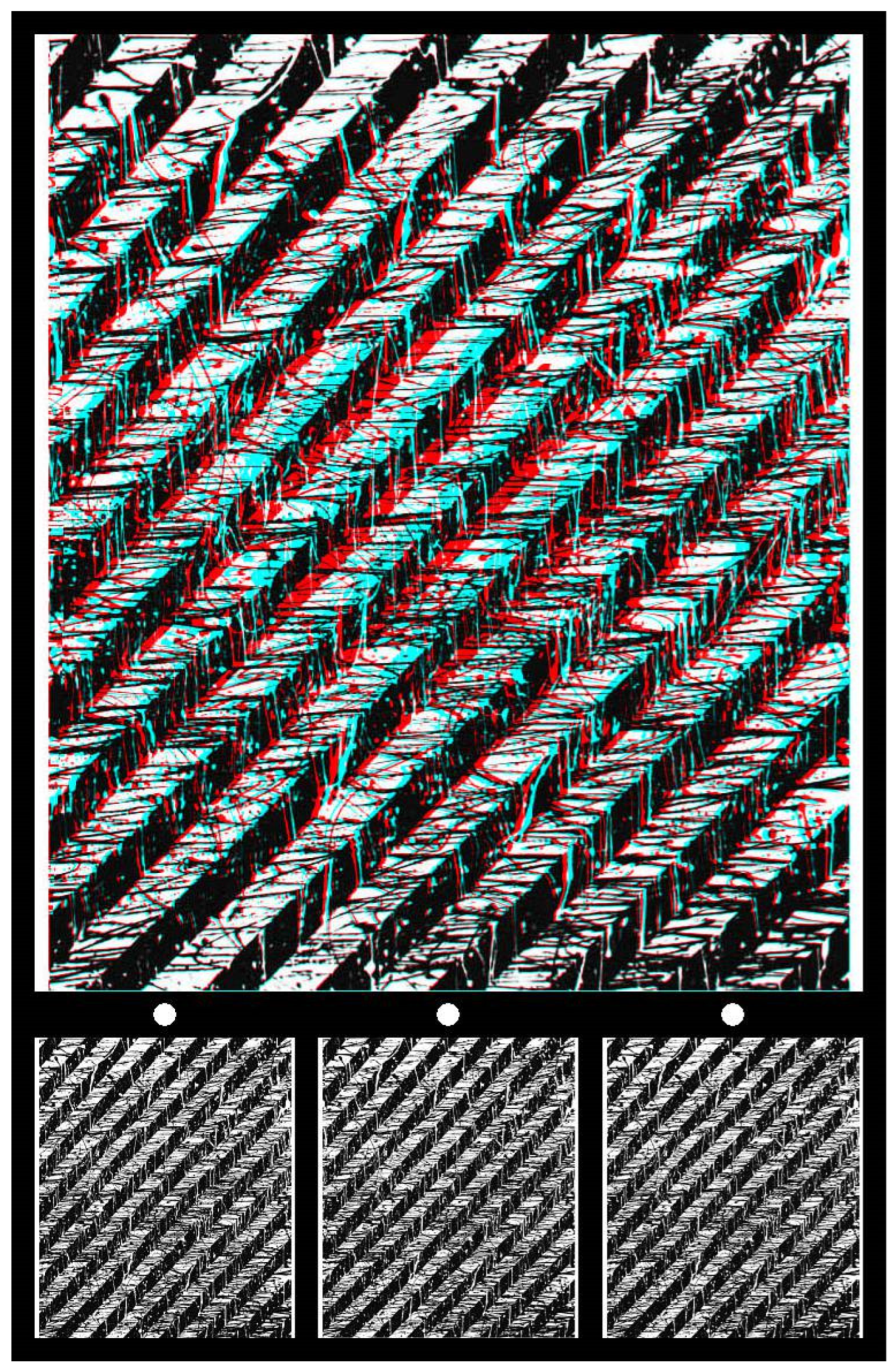 Vision 07 00078 g004