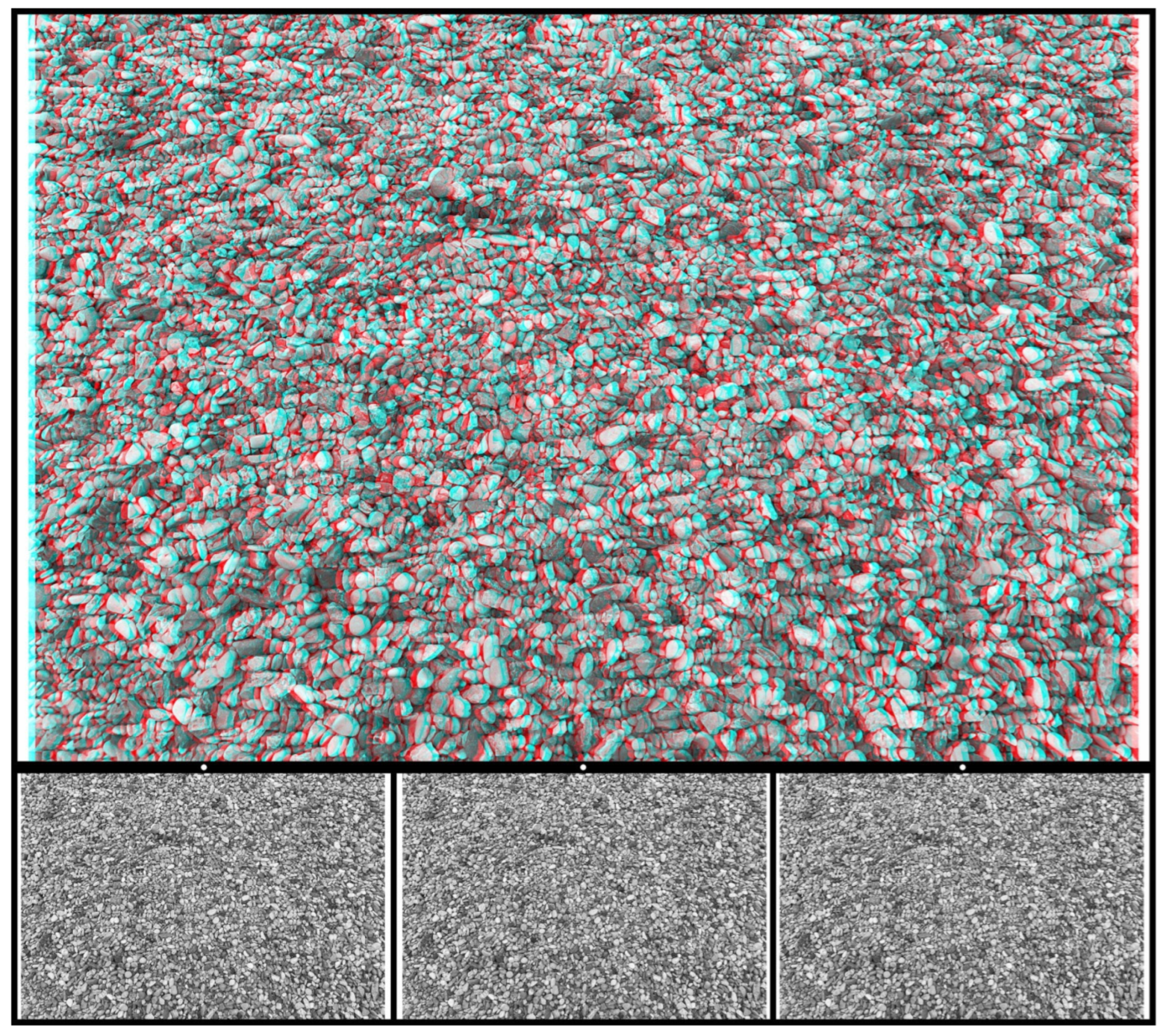 Vision 07 00078 g006